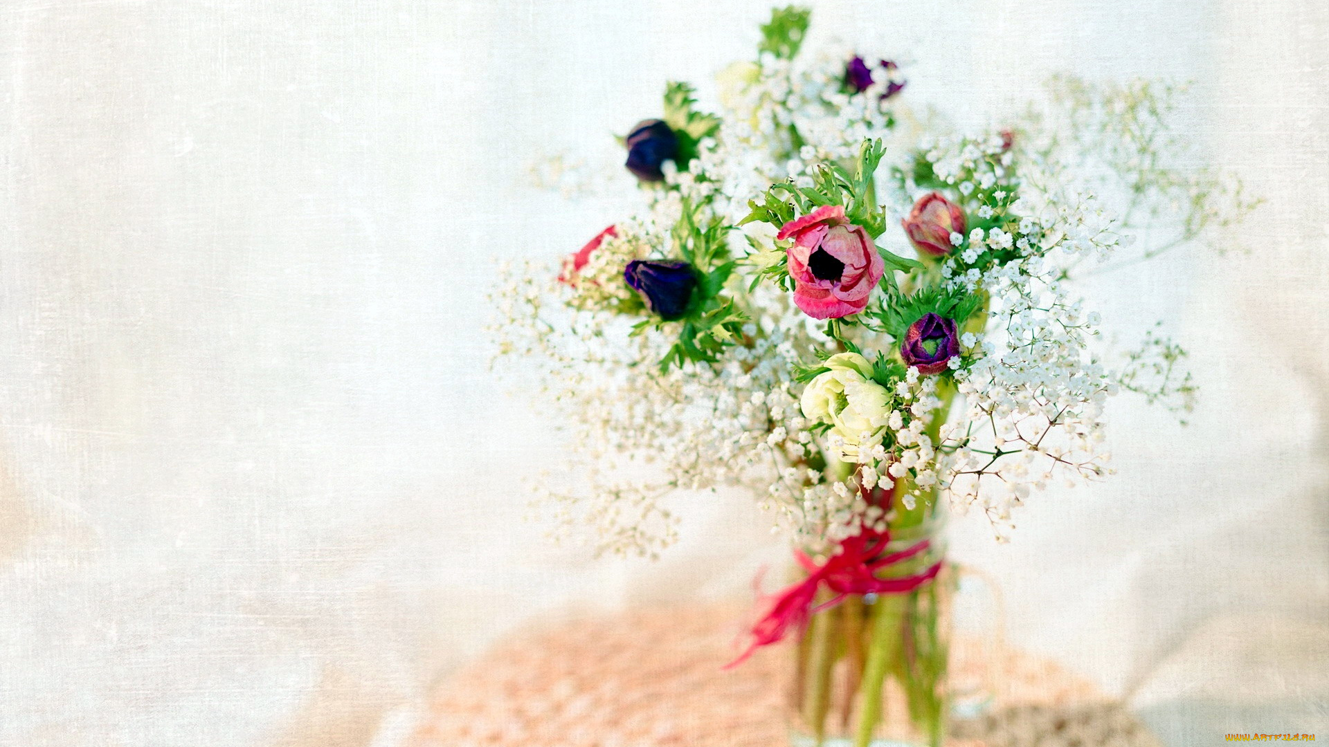 цветы, букеты, , композиции, нежность