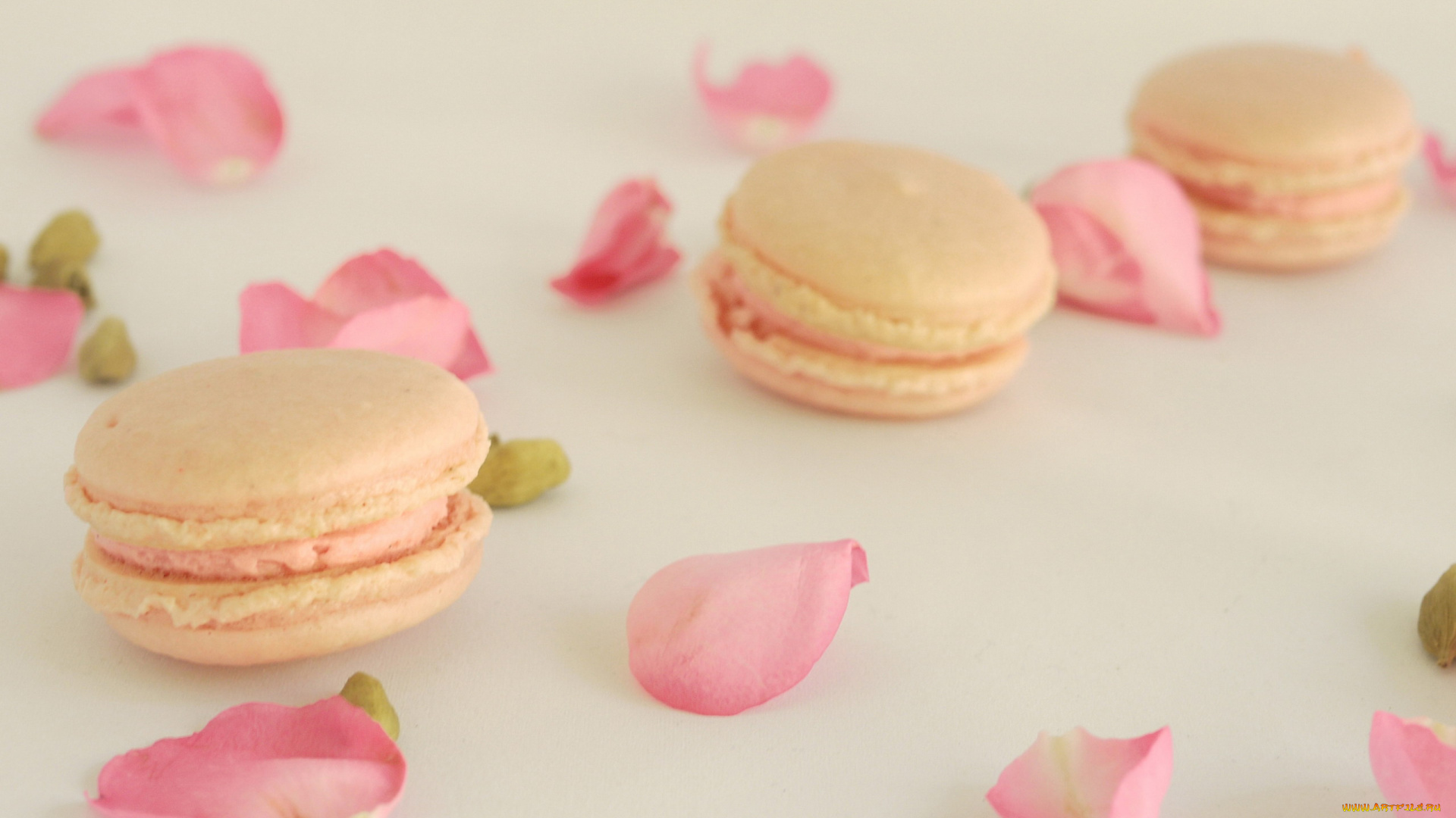 еда, макаруны, лепестки