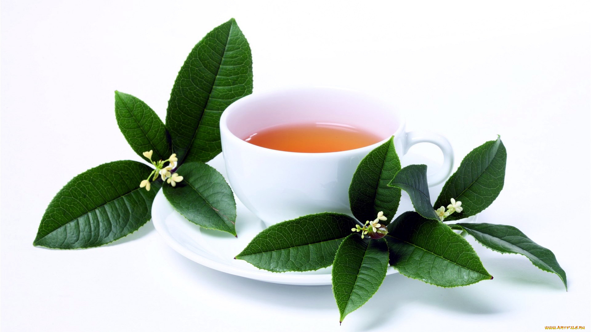 еда, напитки, , Чай, жасминовый