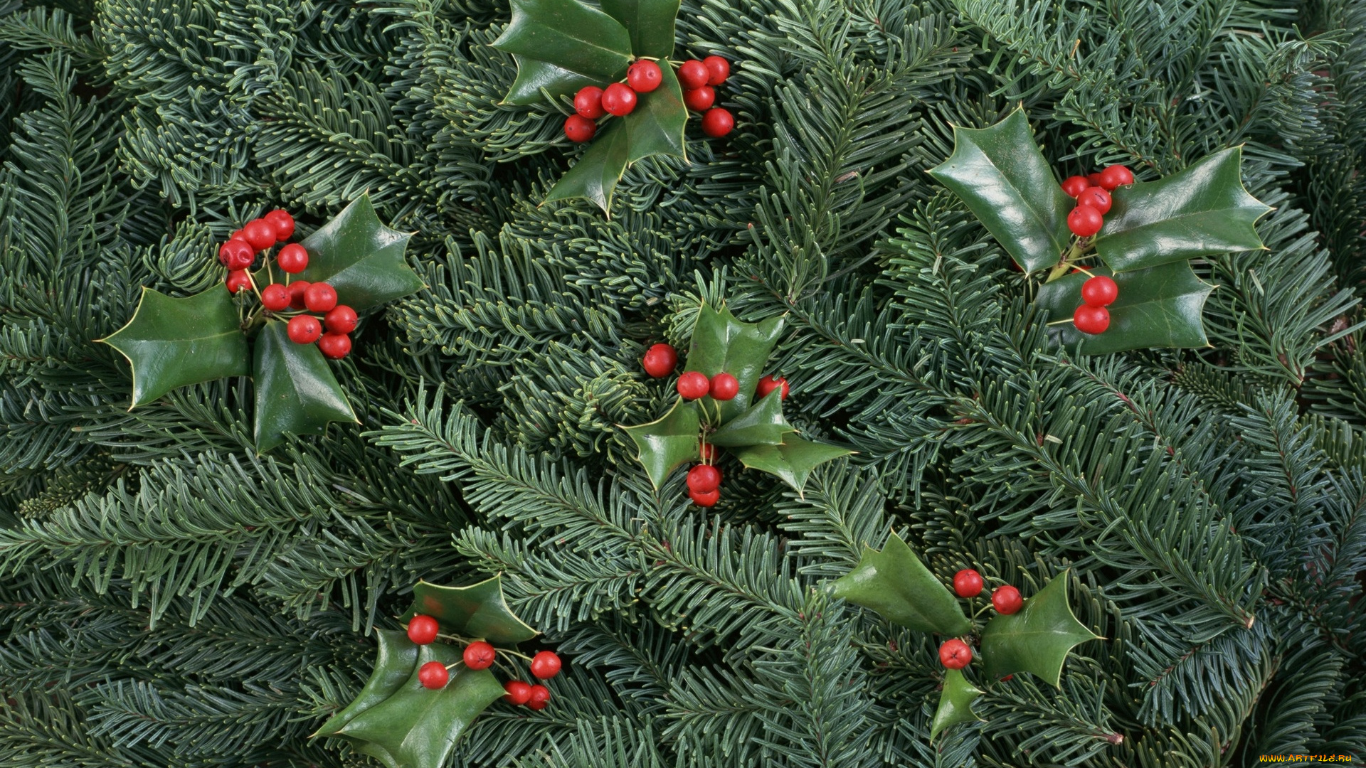 праздничные, Ёлки, ягоды, ёлка, украшения