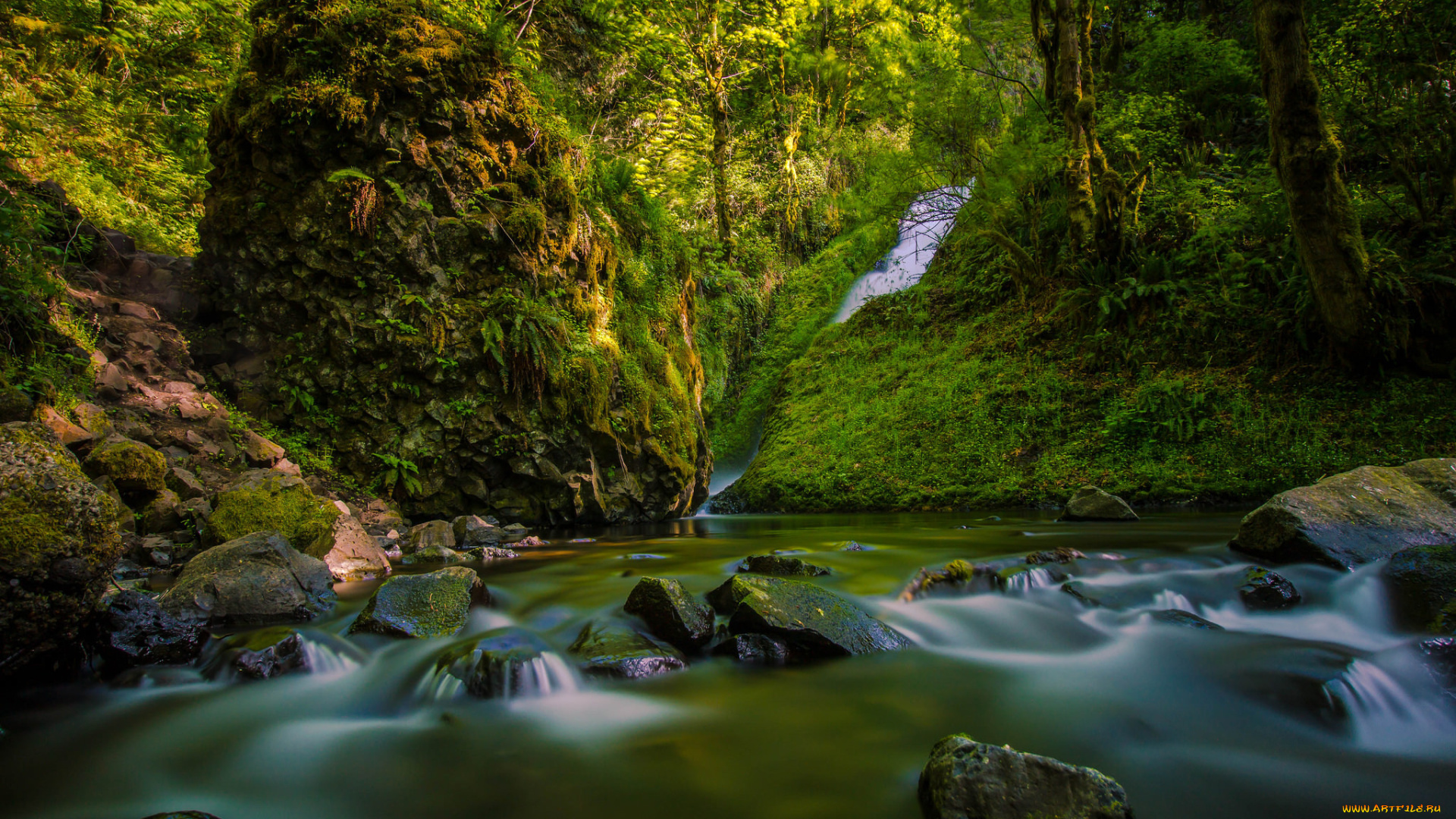 природа, реки, озера, лес, река, речка, водопад, камни