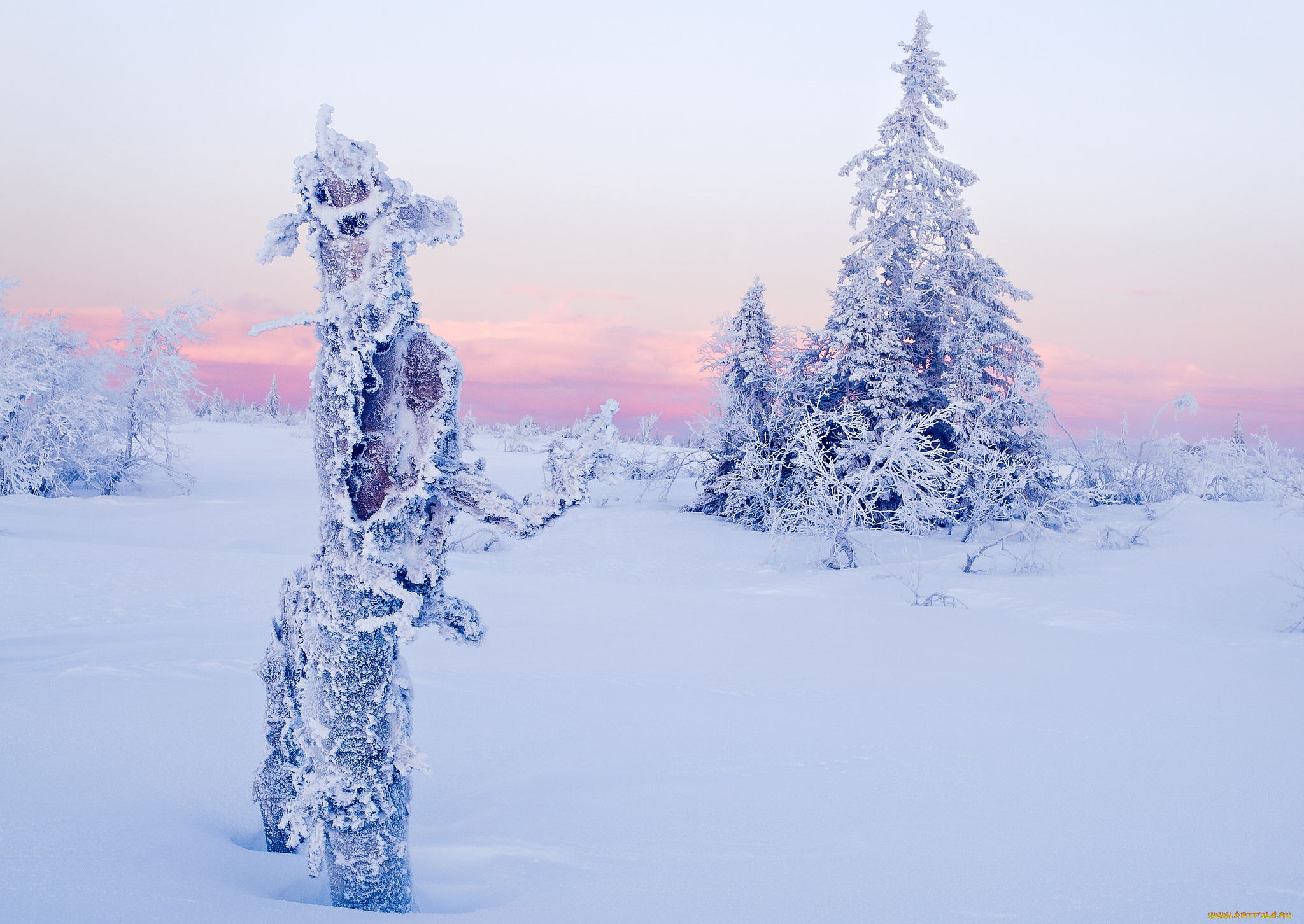 природа, зима, ель, снег, деревья, облака, небо