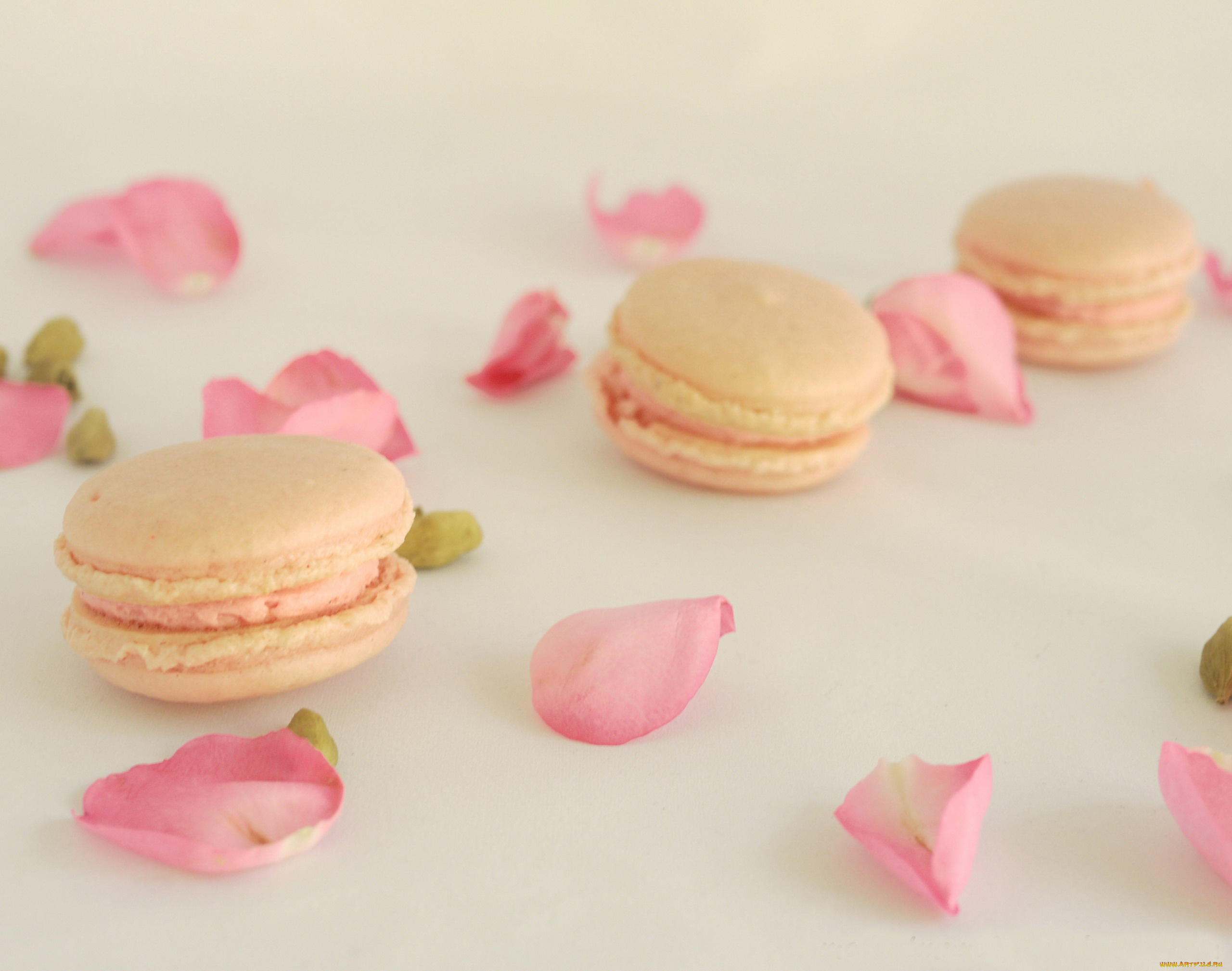 еда, макаруны, лепестки