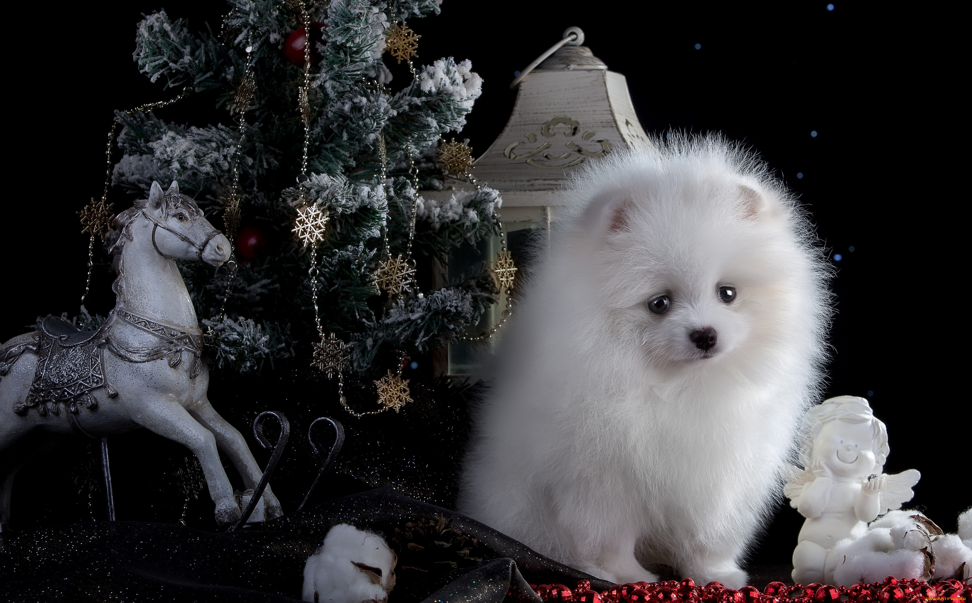 животные, собаки, лошадь, белый, щенок, шпиц, ёлка, ангел, игрушки, новый, год, фонарь