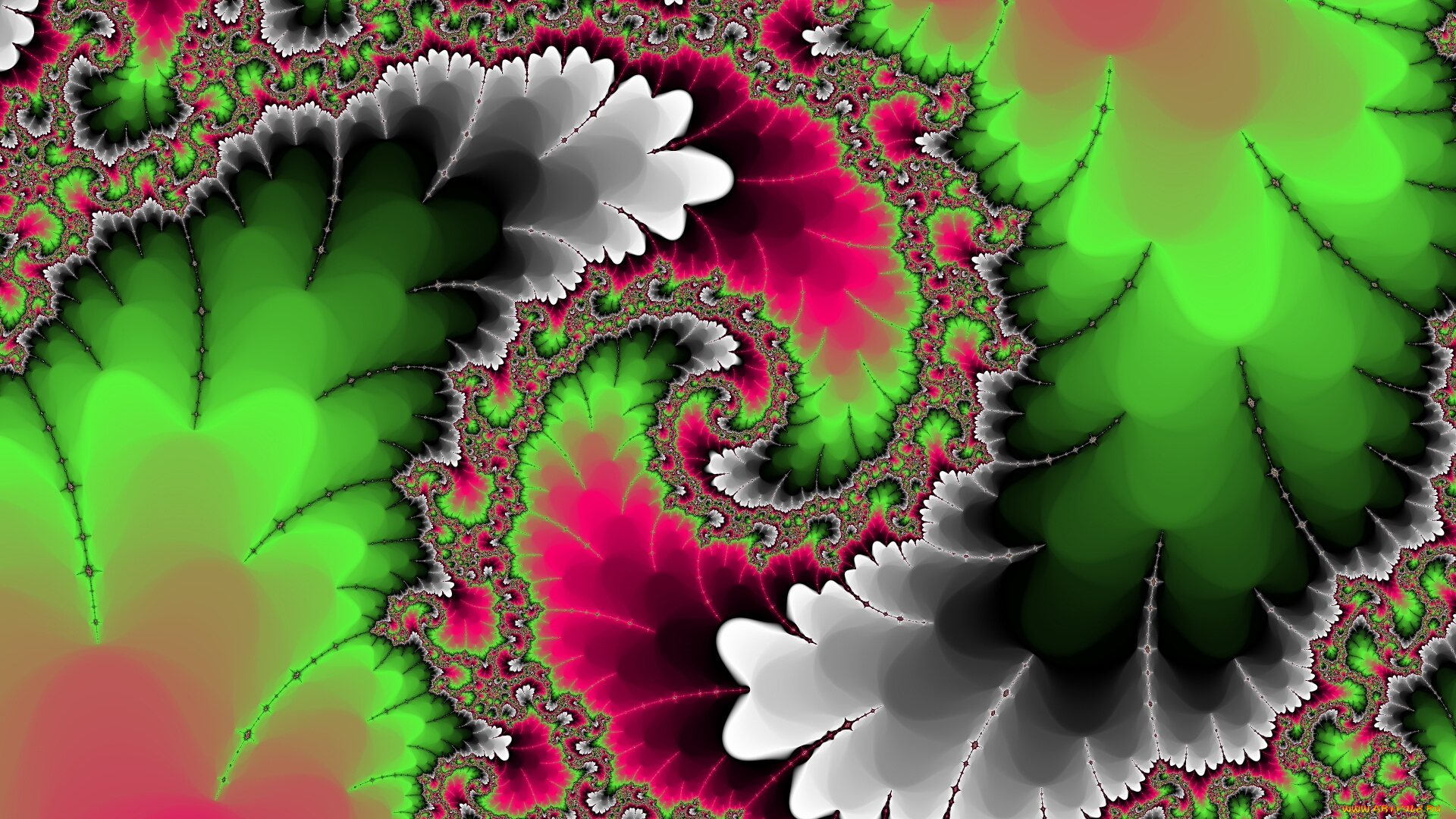 3д, графика, фракталы, , fractal, цвета, узор, фон