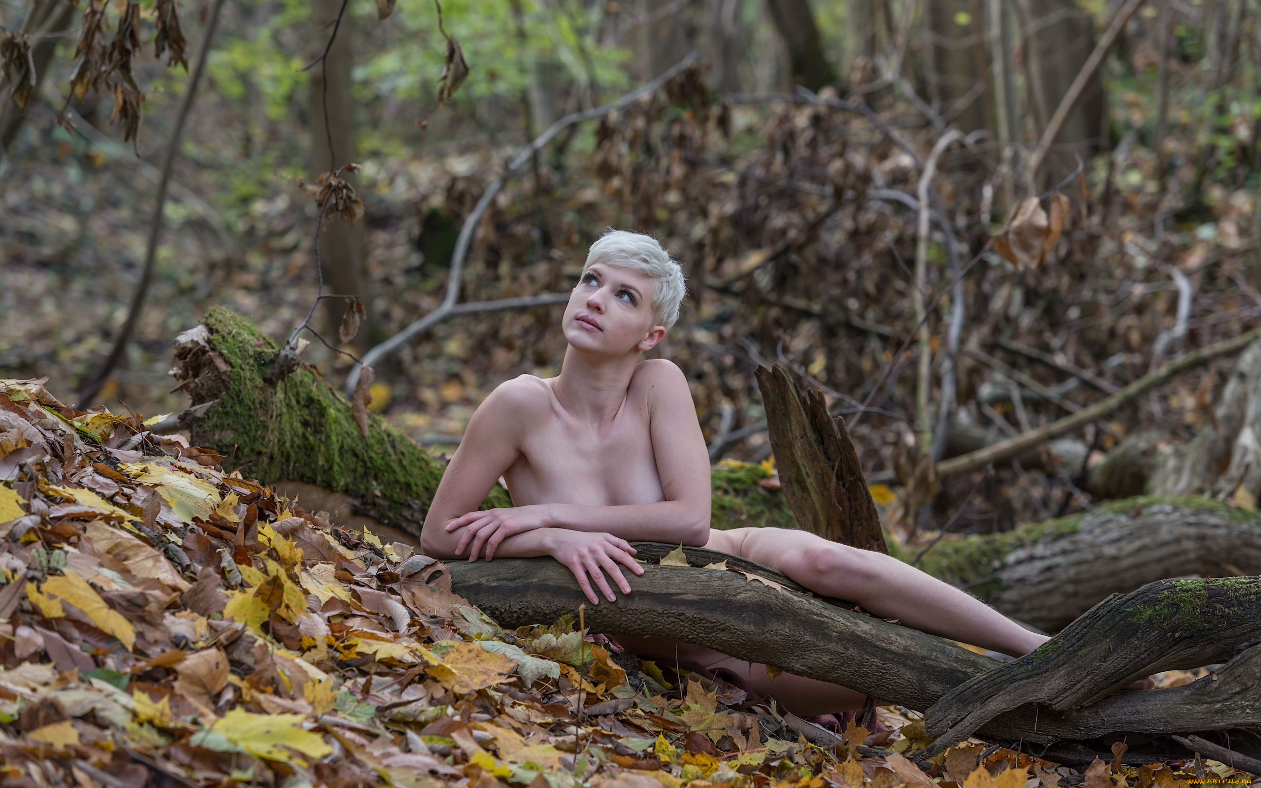 девушки, -unsort, , блондинки, лежит, лес, блондинка, девушка