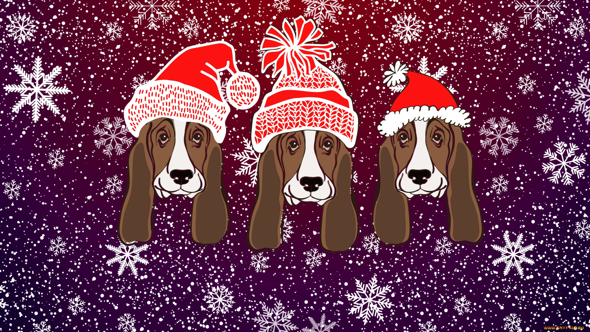праздничные, векторная, графика, , новый, год, рождество, снег, фон, настроение, праздник, 2018, год, собаки, морды, минимализм, зима, шапки, новый