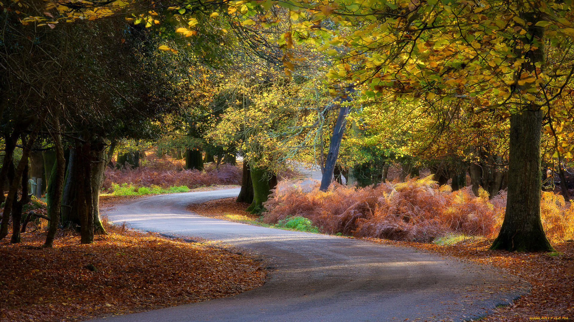 природа, дороги, простор