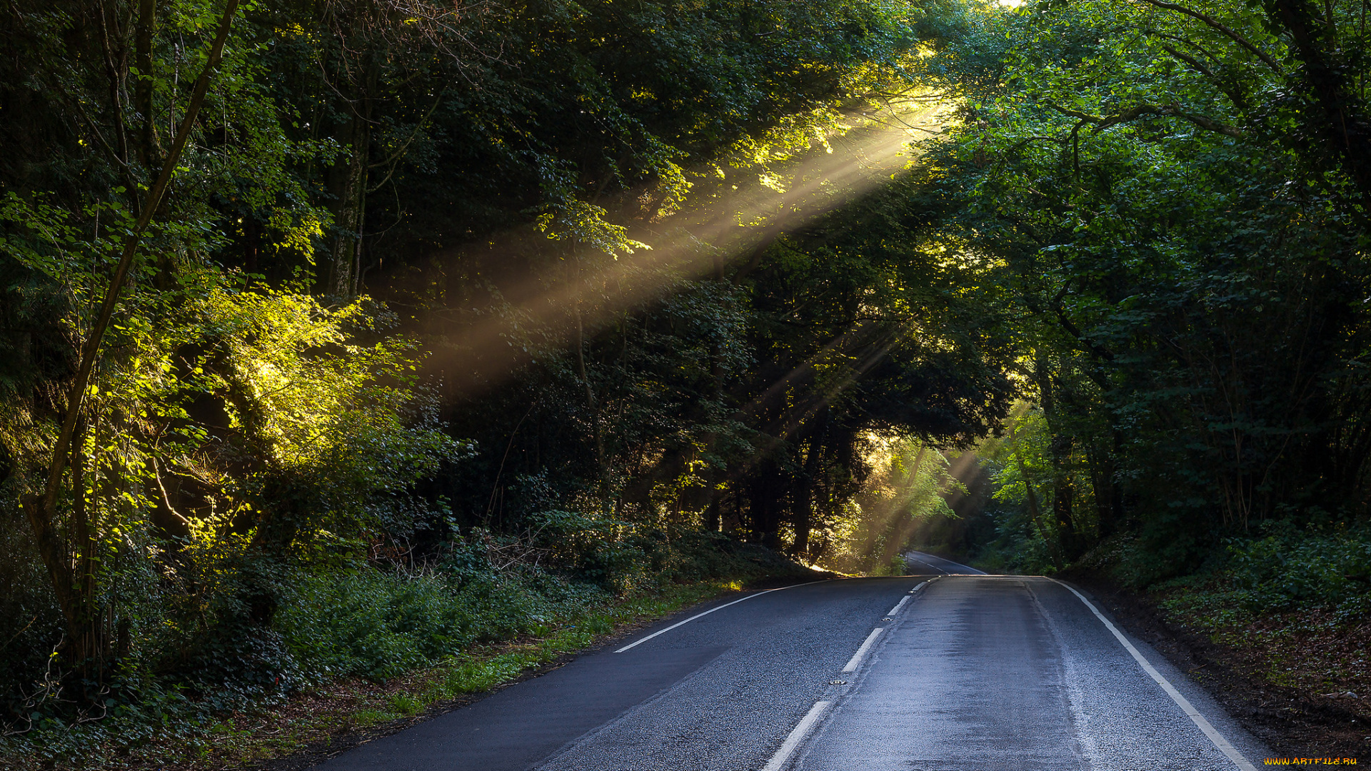 природа, дороги, простор