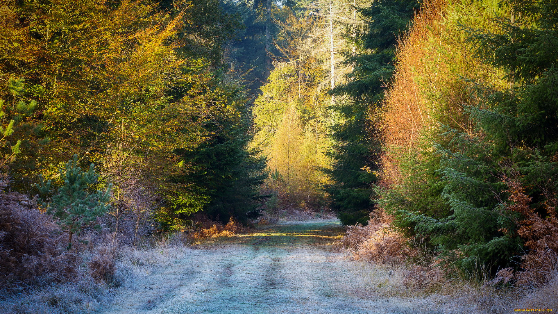 природа, дороги, простор