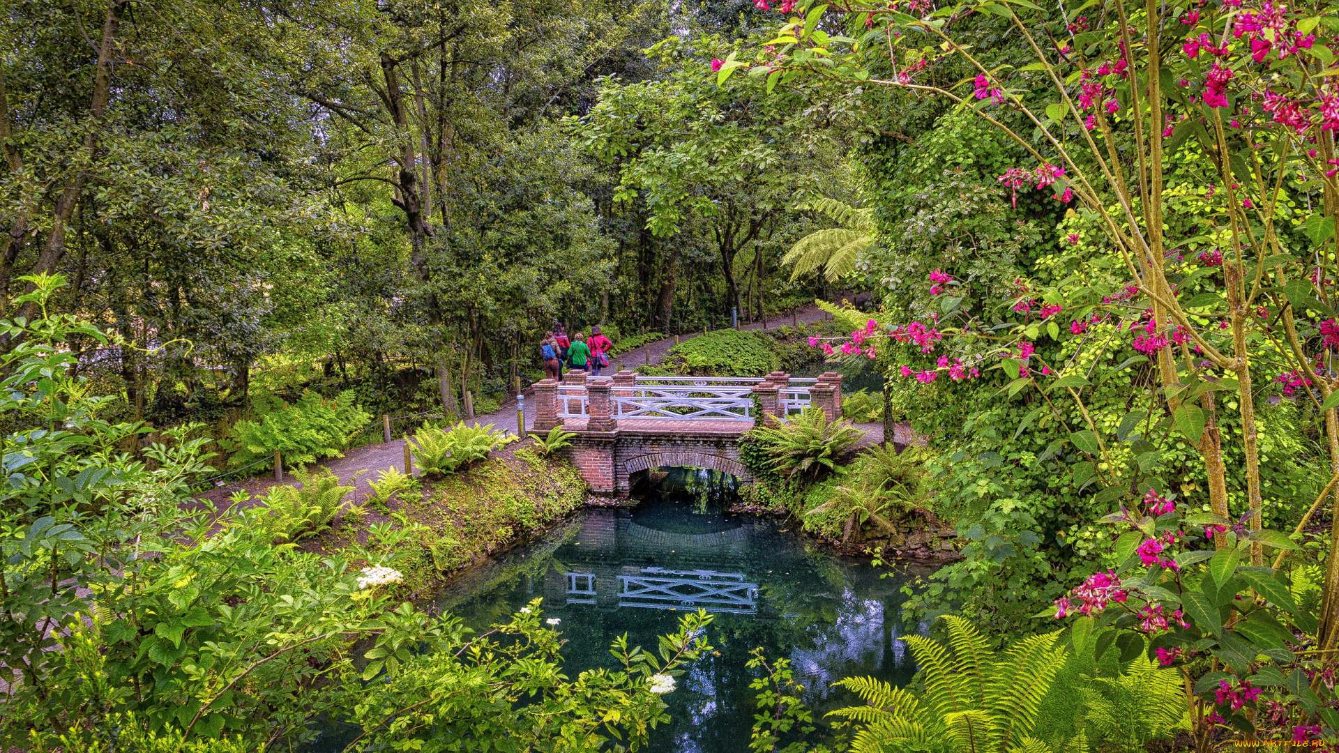 природа, парк, река, мостик