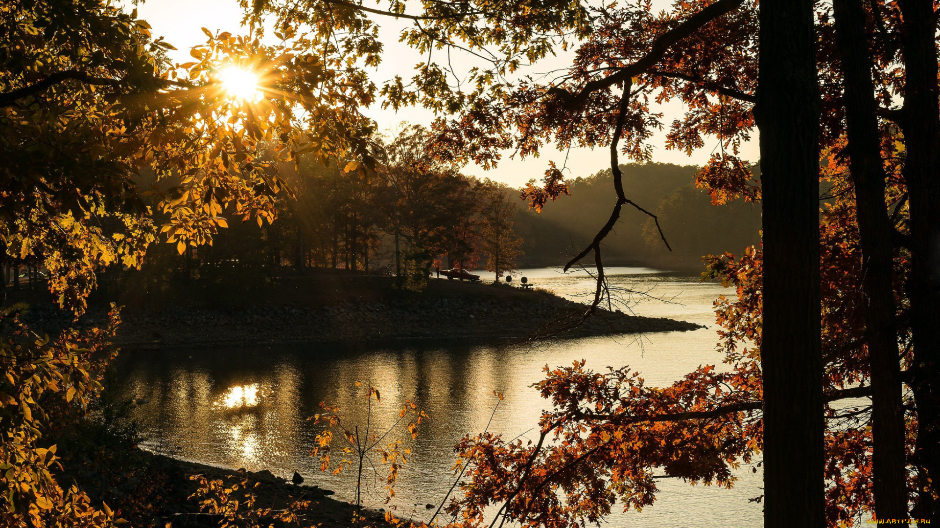 природа, реки, озера, деревья, берег, река