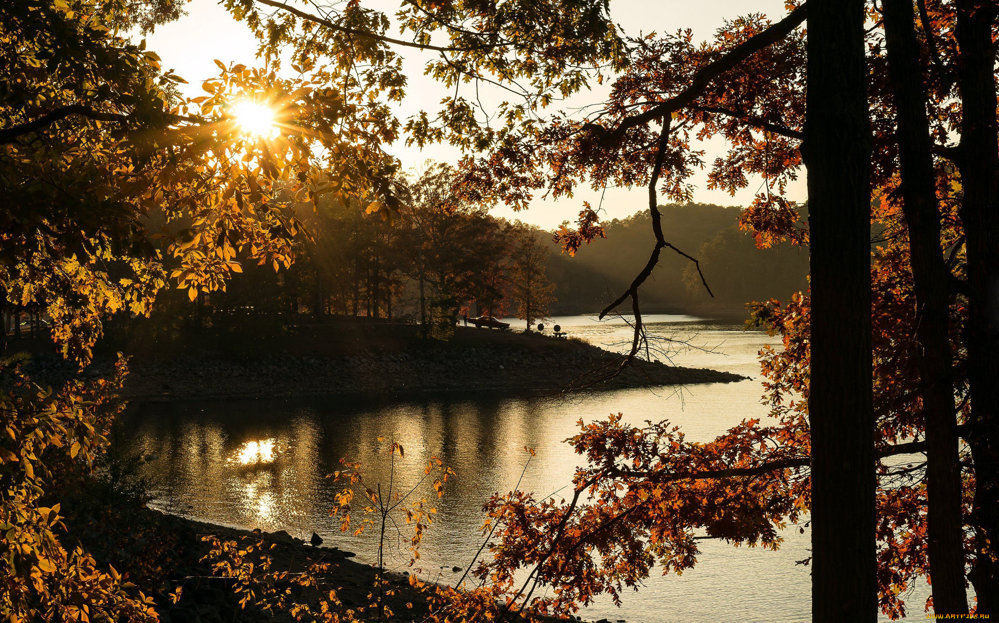 природа, реки, озера, деревья, берег, река