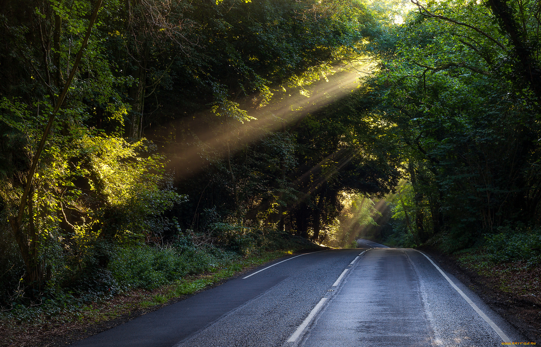 природа, дороги, простор
