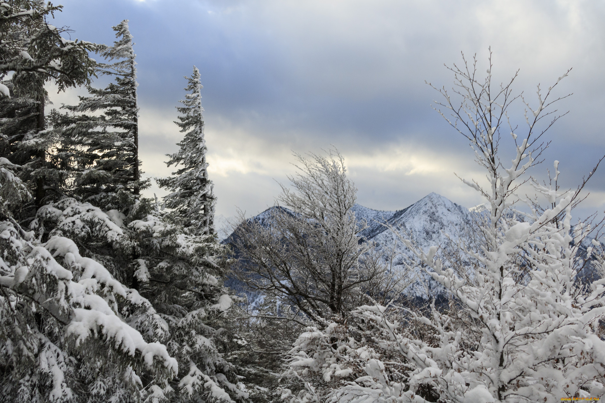 природа, горы, простор