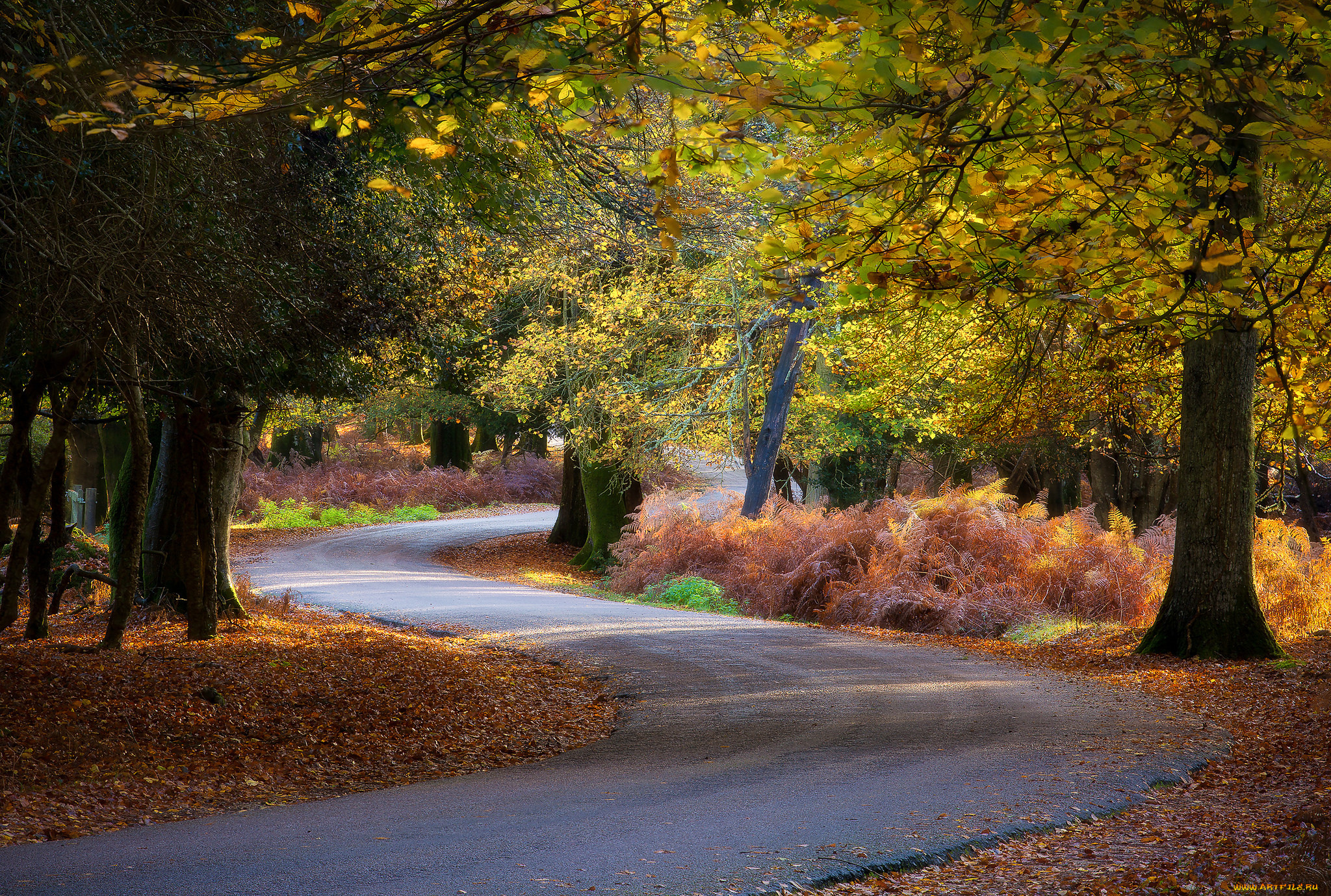 природа, дороги, простор