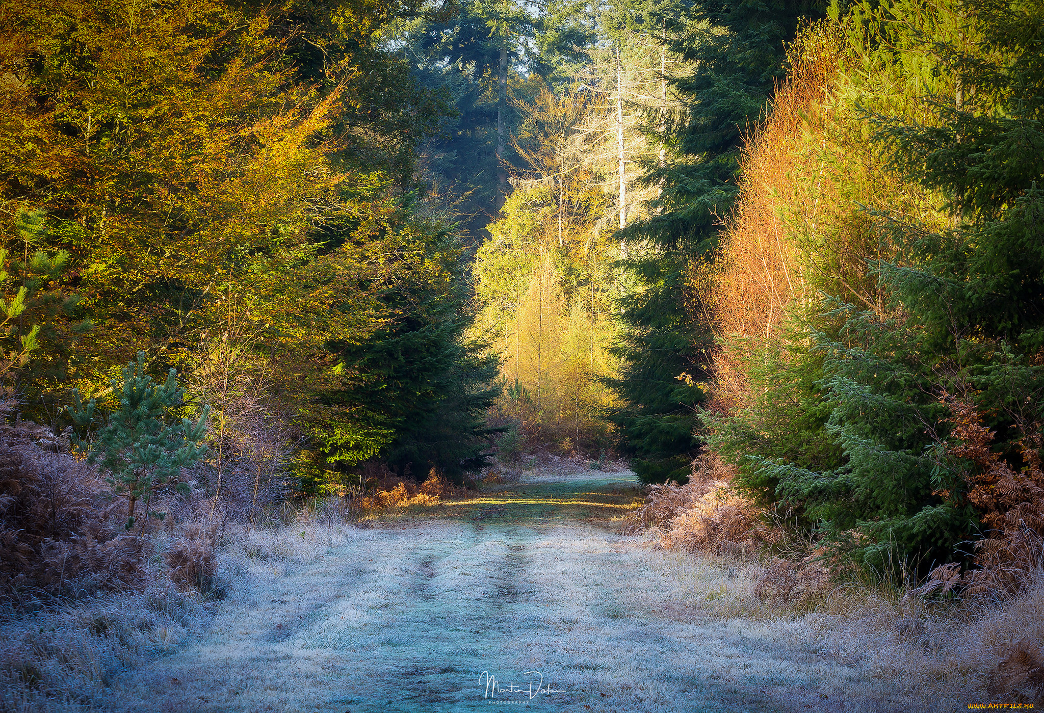 природа, дороги, простор