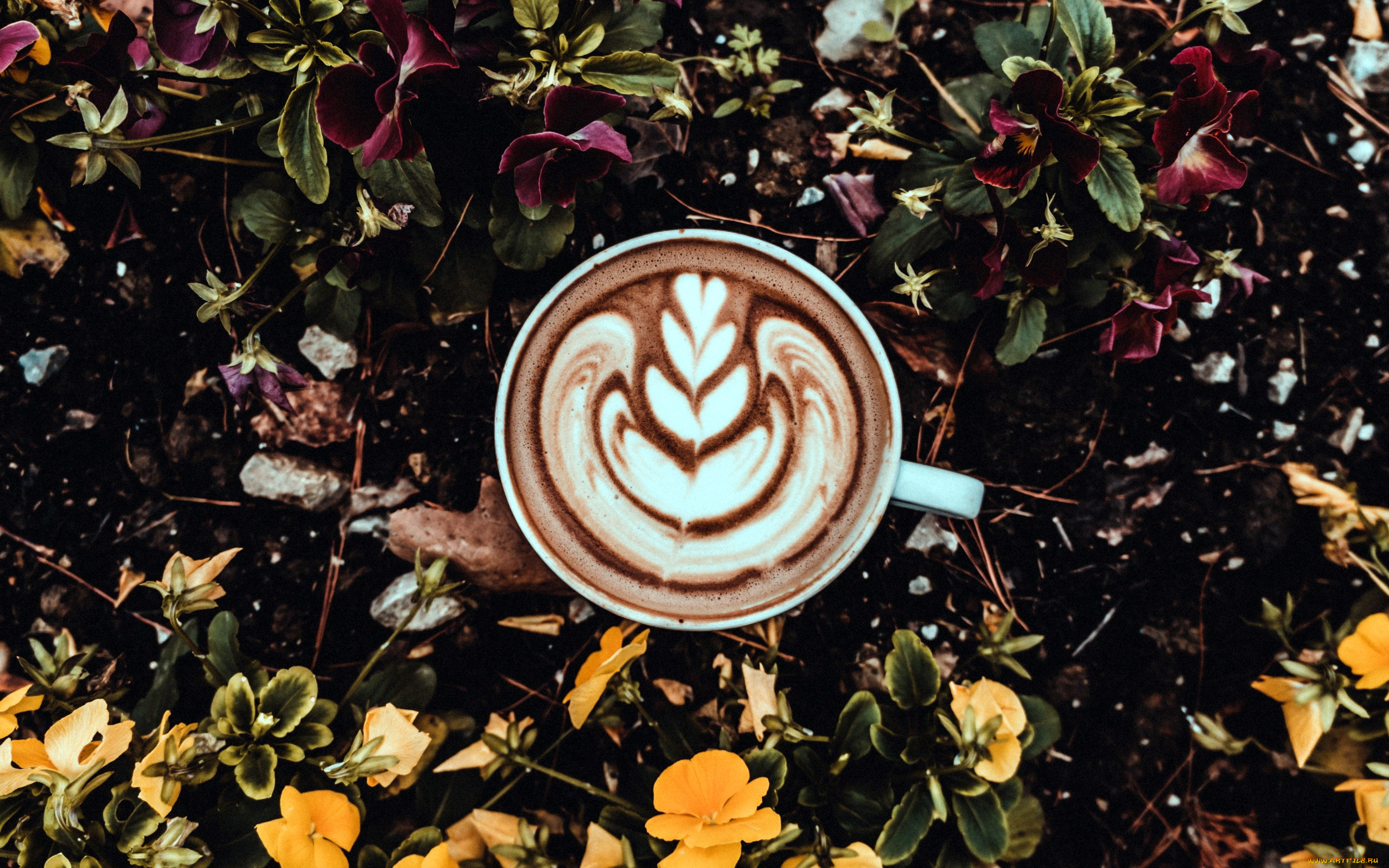 еда, кофе, , кофейные, зёрна, капучино