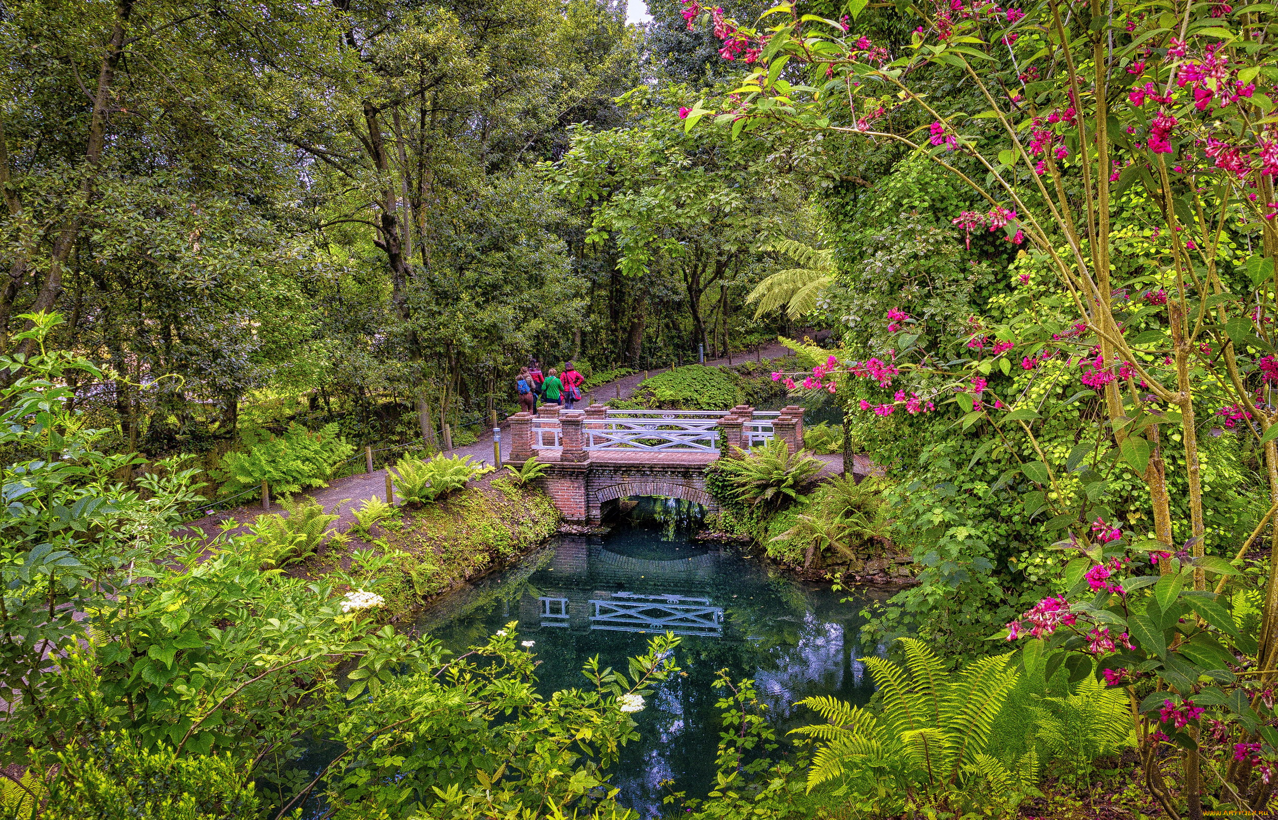 природа, парк, река, мостик