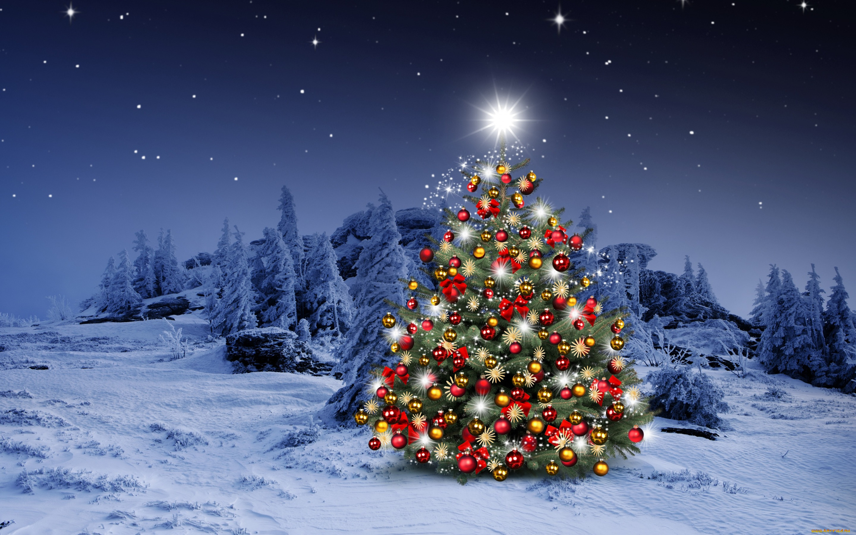 праздничные, Ёлки, фон, праздник, новый, год