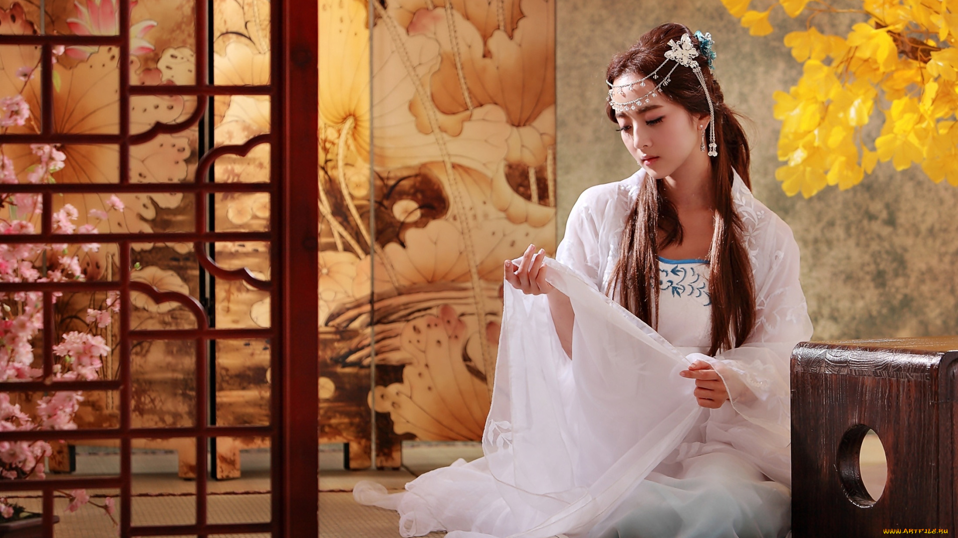 девушки, -, азиатки, интерьер, шелк