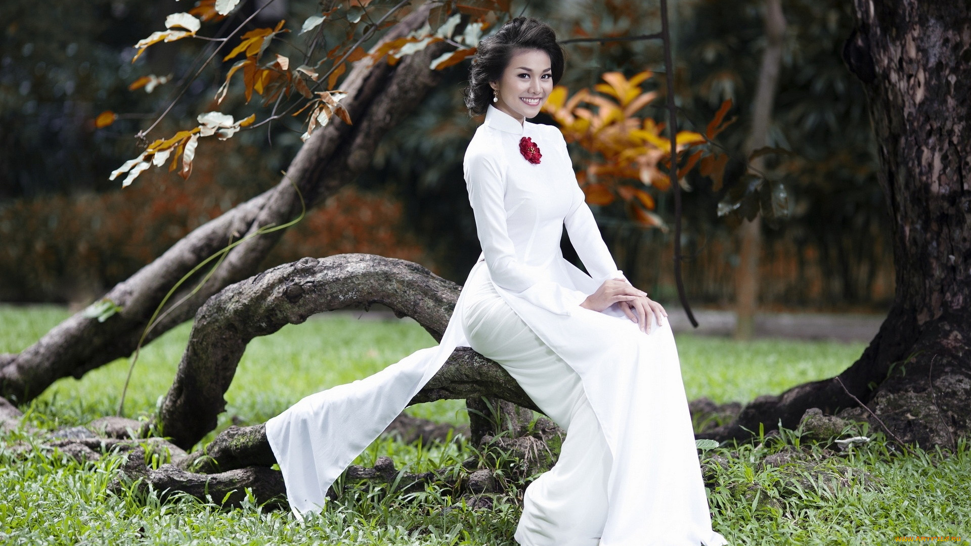 девушки, -, азиатки, национальный, наряд