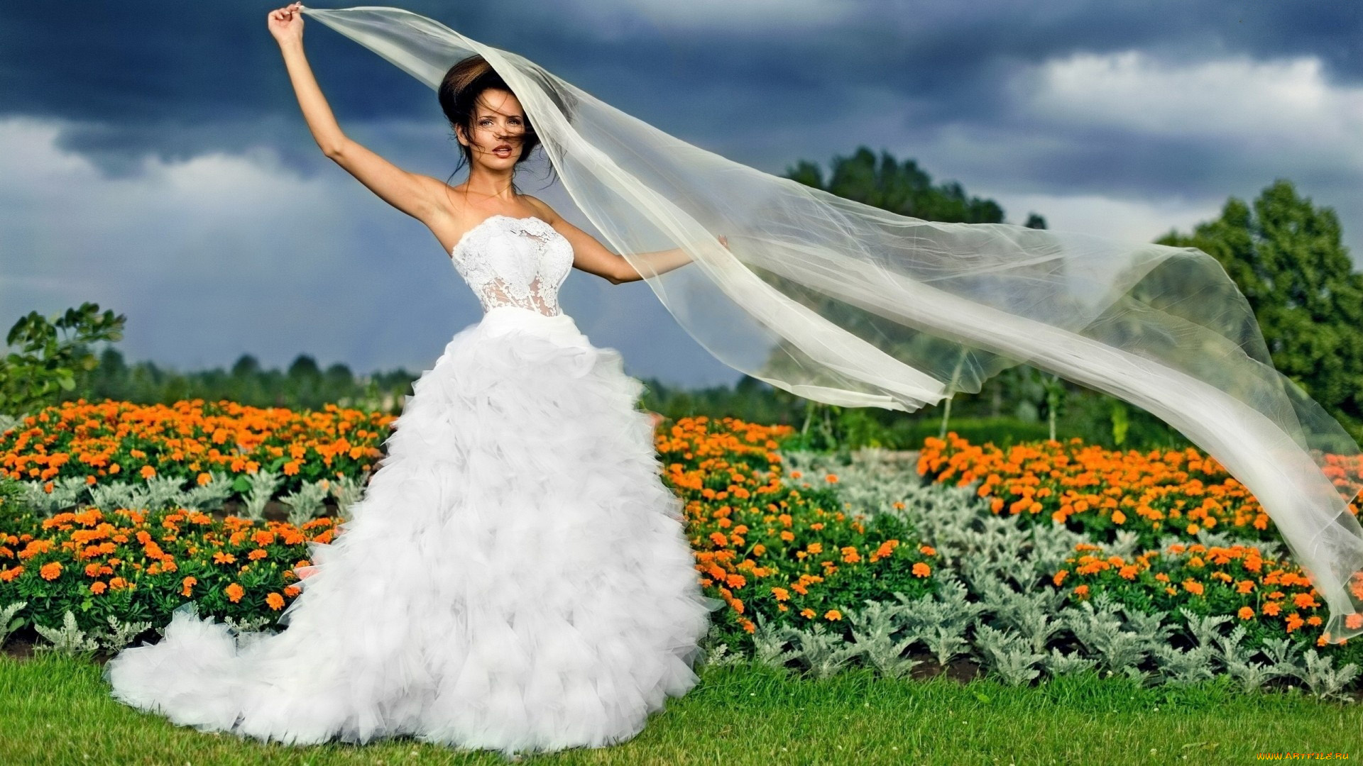 девушки, -, невесты, невеста