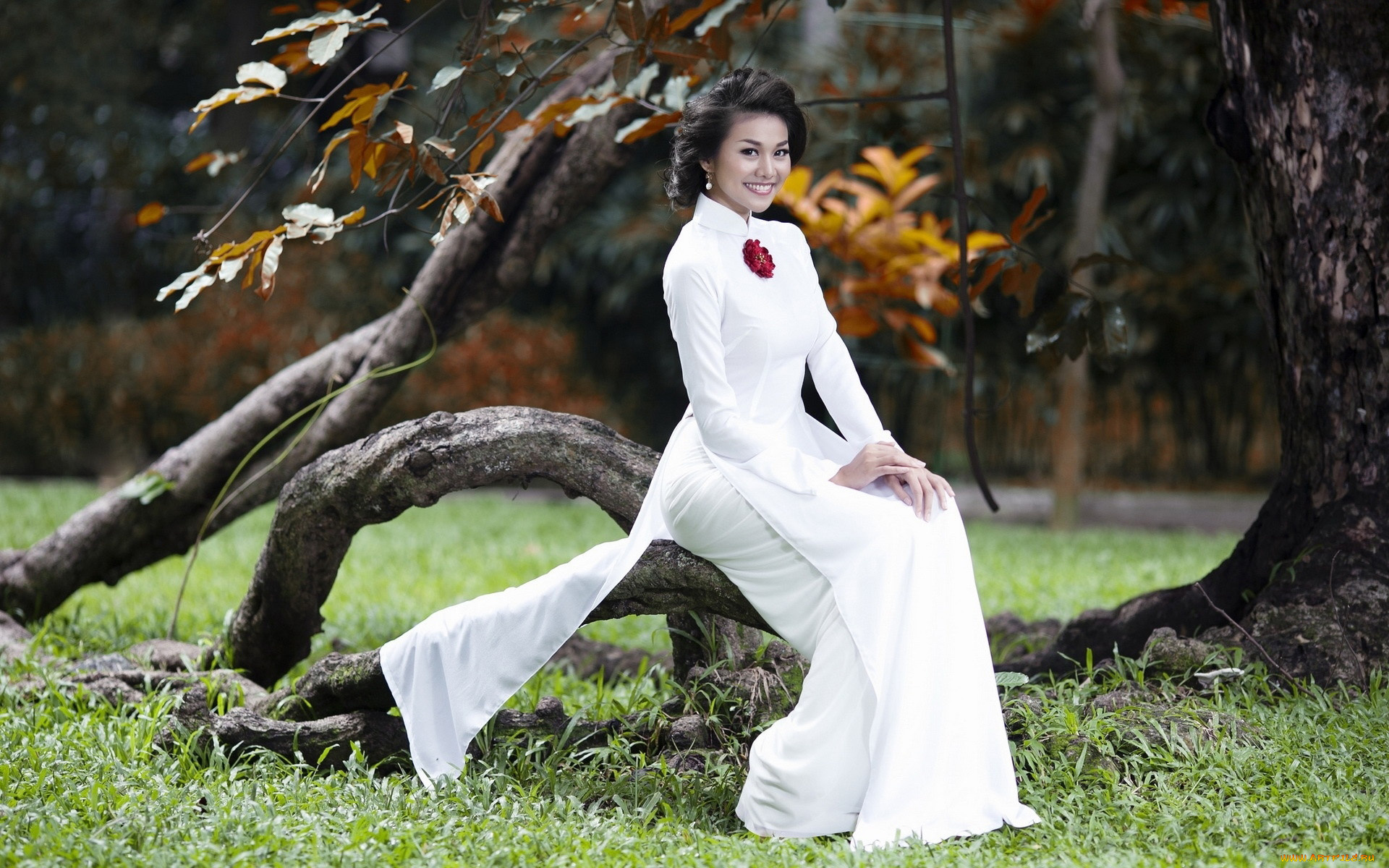 девушки, -, азиатки, национальный, наряд