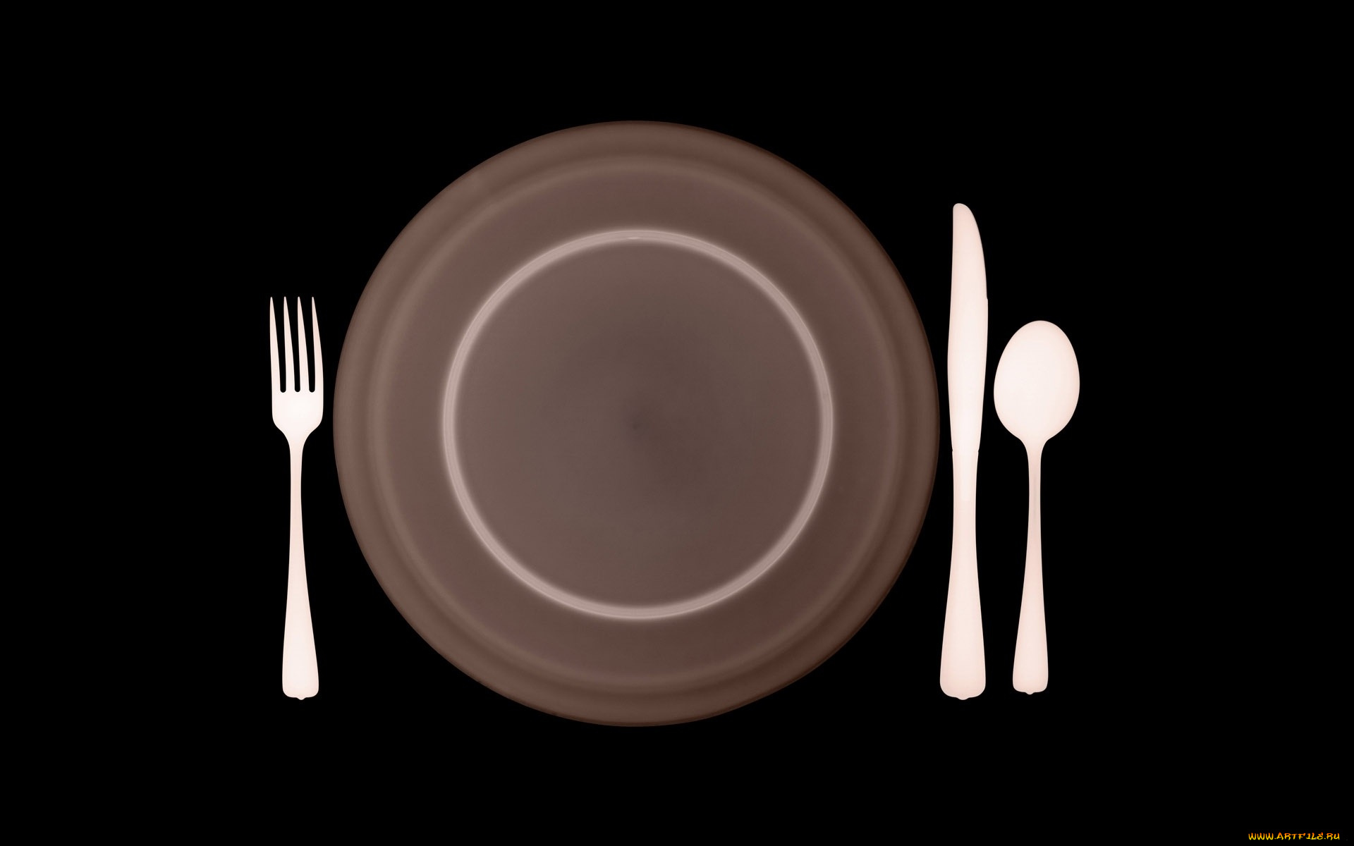 разное, кости, , рентген, тарелка, приборы