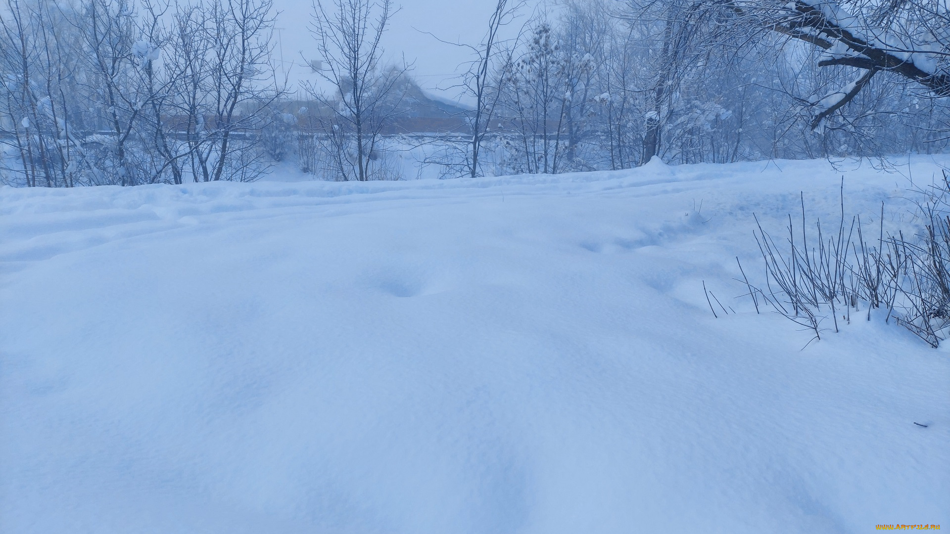 природа, зима, снег