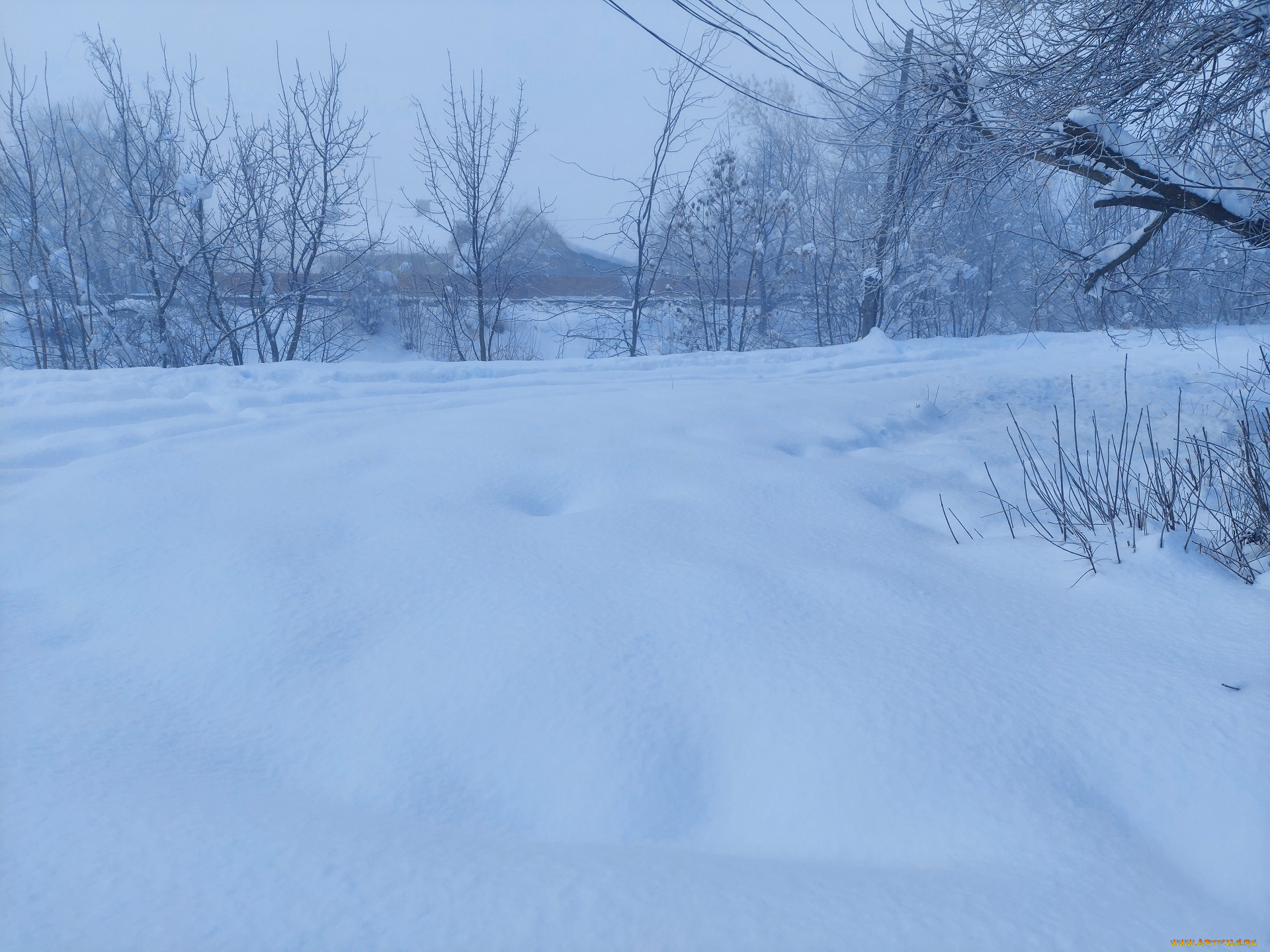 природа, зима, снег