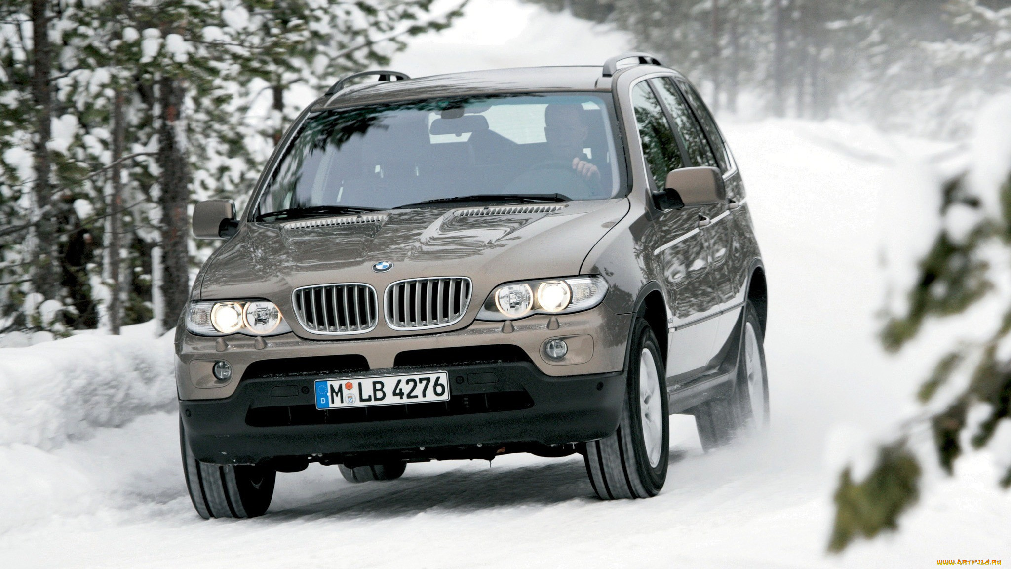 bmw, x5, автомобили, bmw, серый, дорога, лес, снег, зима