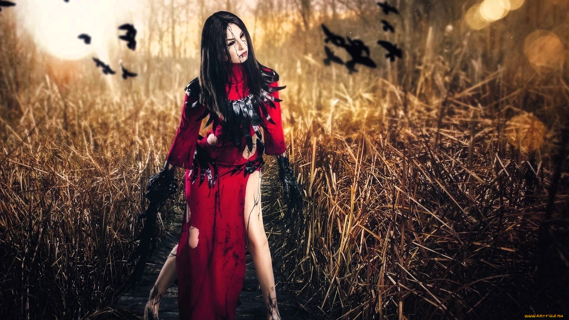 девушки, анна, шаховская, образ, косплей, наряд, костюм, трава, летучие, мыши, лес