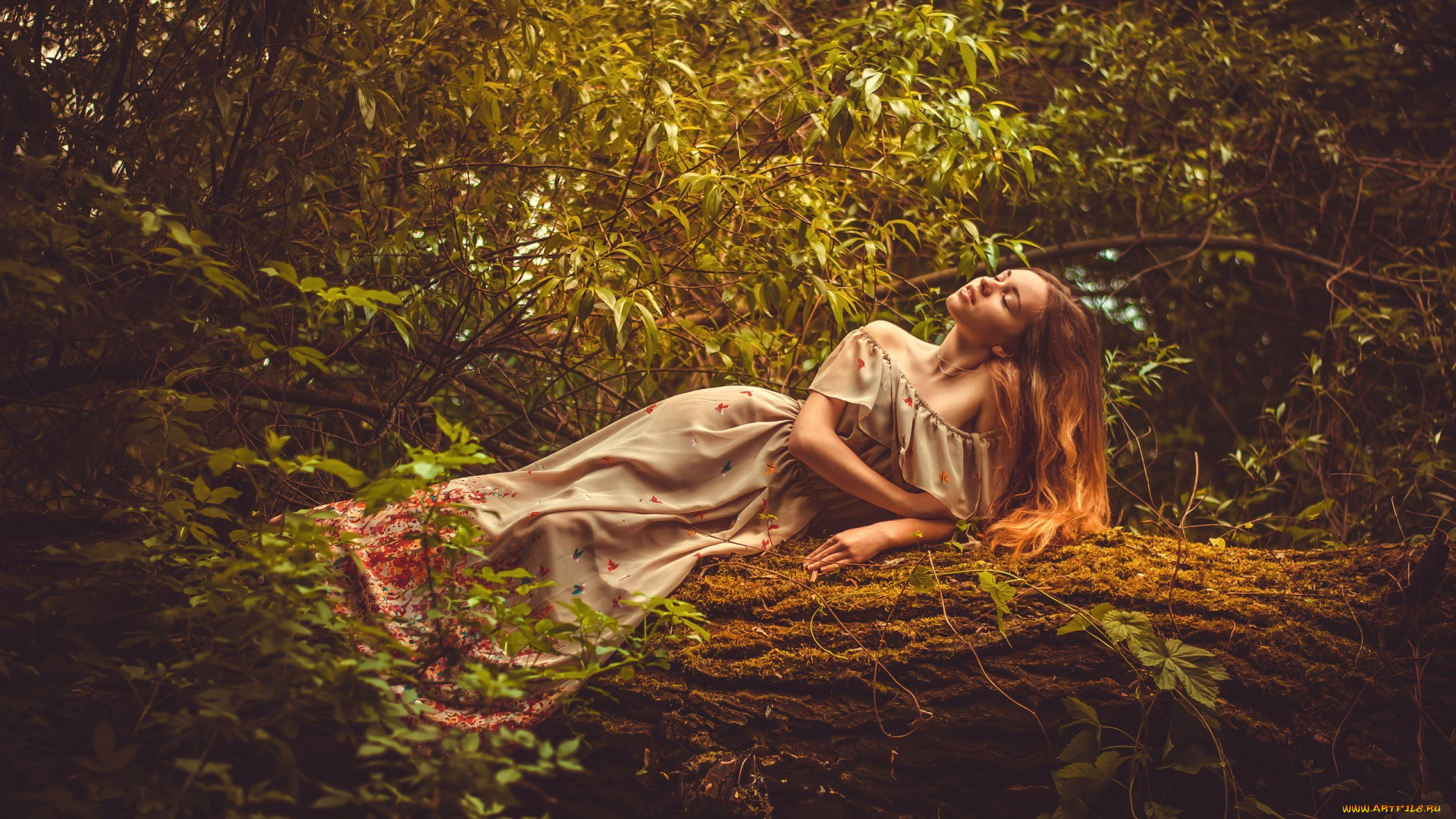 красивая, девушка, девушки, -, брюнетки, , шатенки, девушка, женщина, шатенка, темноволосая, сексуальная, модель, звезда, позирует, разная, обувь, верхняя, стильная, одежда, нижнее, эротическое, бельё, трусы, лифчик, колготки, чулки, аксессуары, макияж, и, множество, элементов, на, фотографии