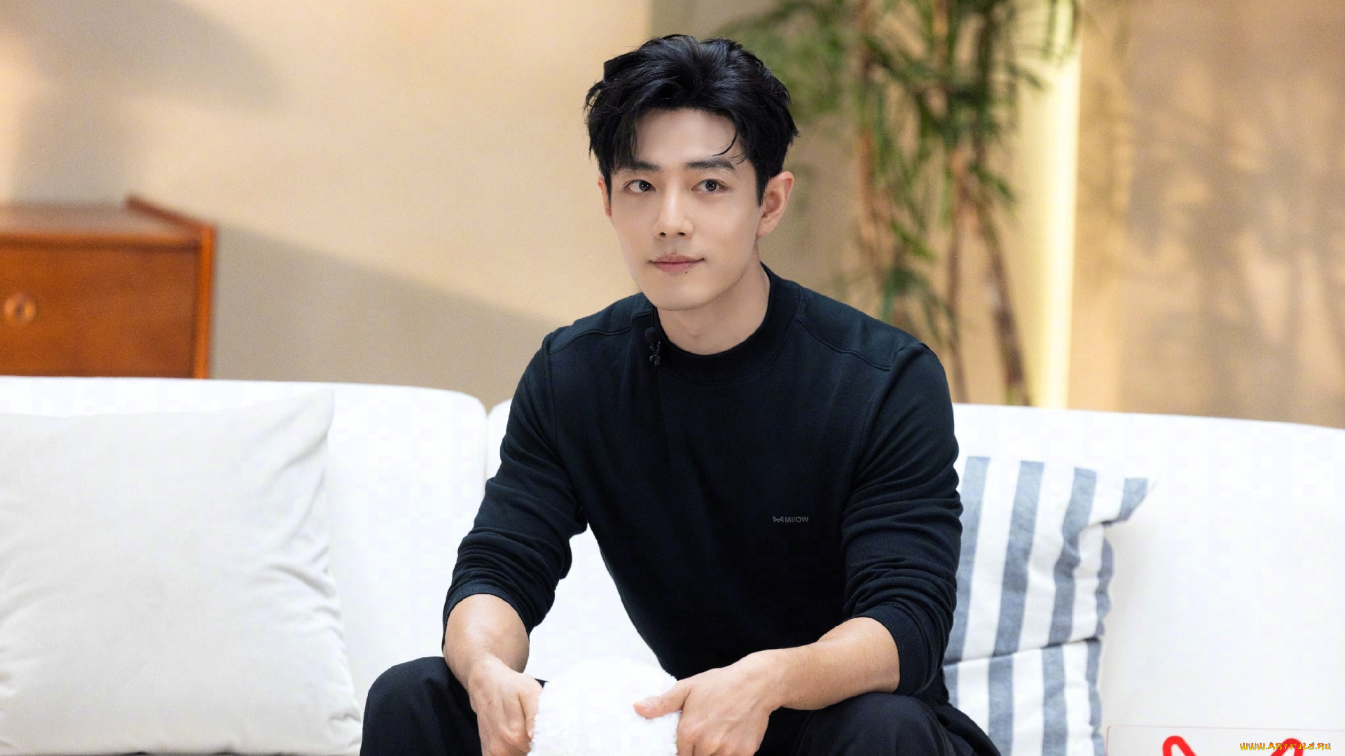 мужчины, xiao, zhan, актер, свитер, диван, плакат