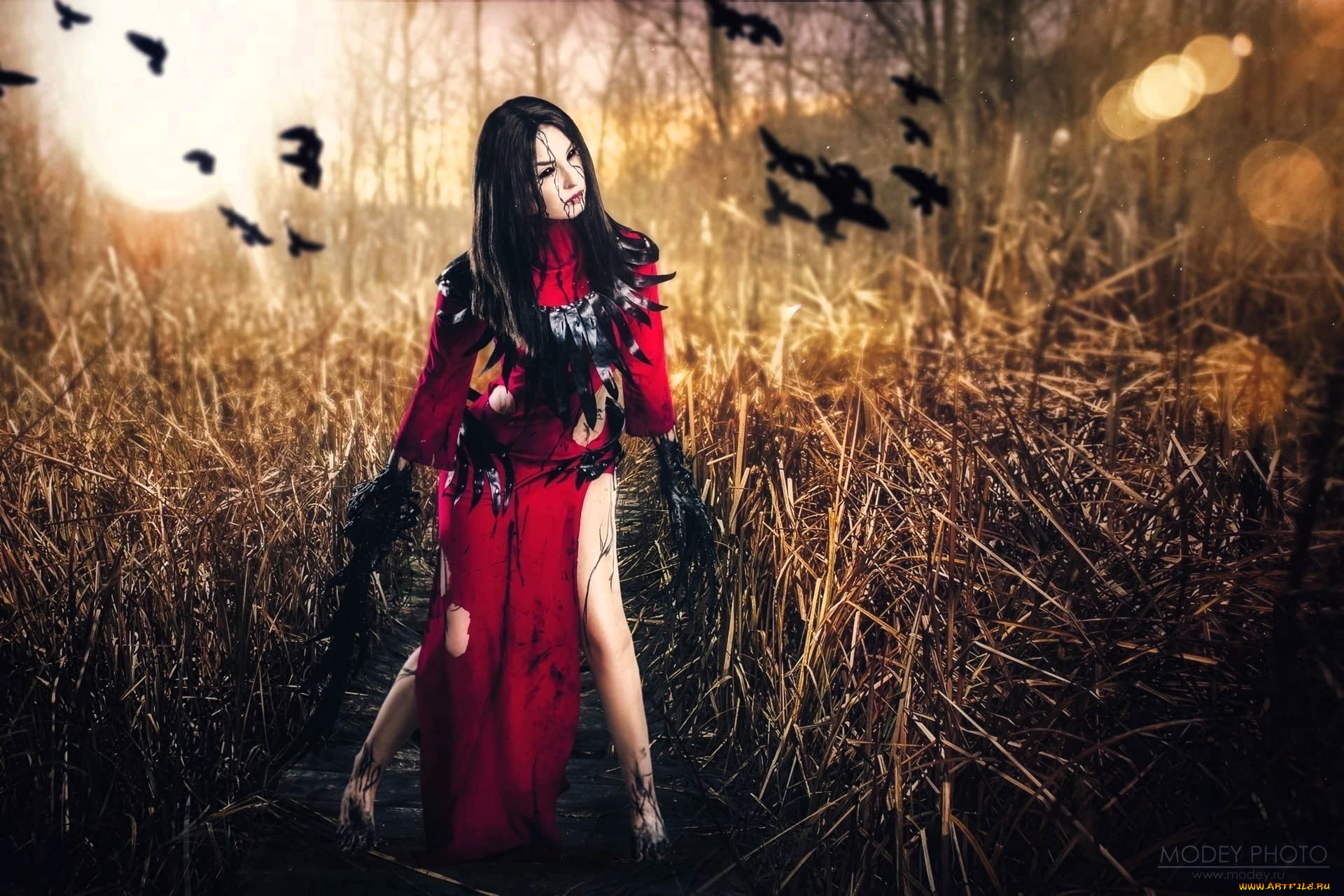 девушки, анна, шаховская, образ, косплей, наряд, костюм, трава, летучие, мыши, лес