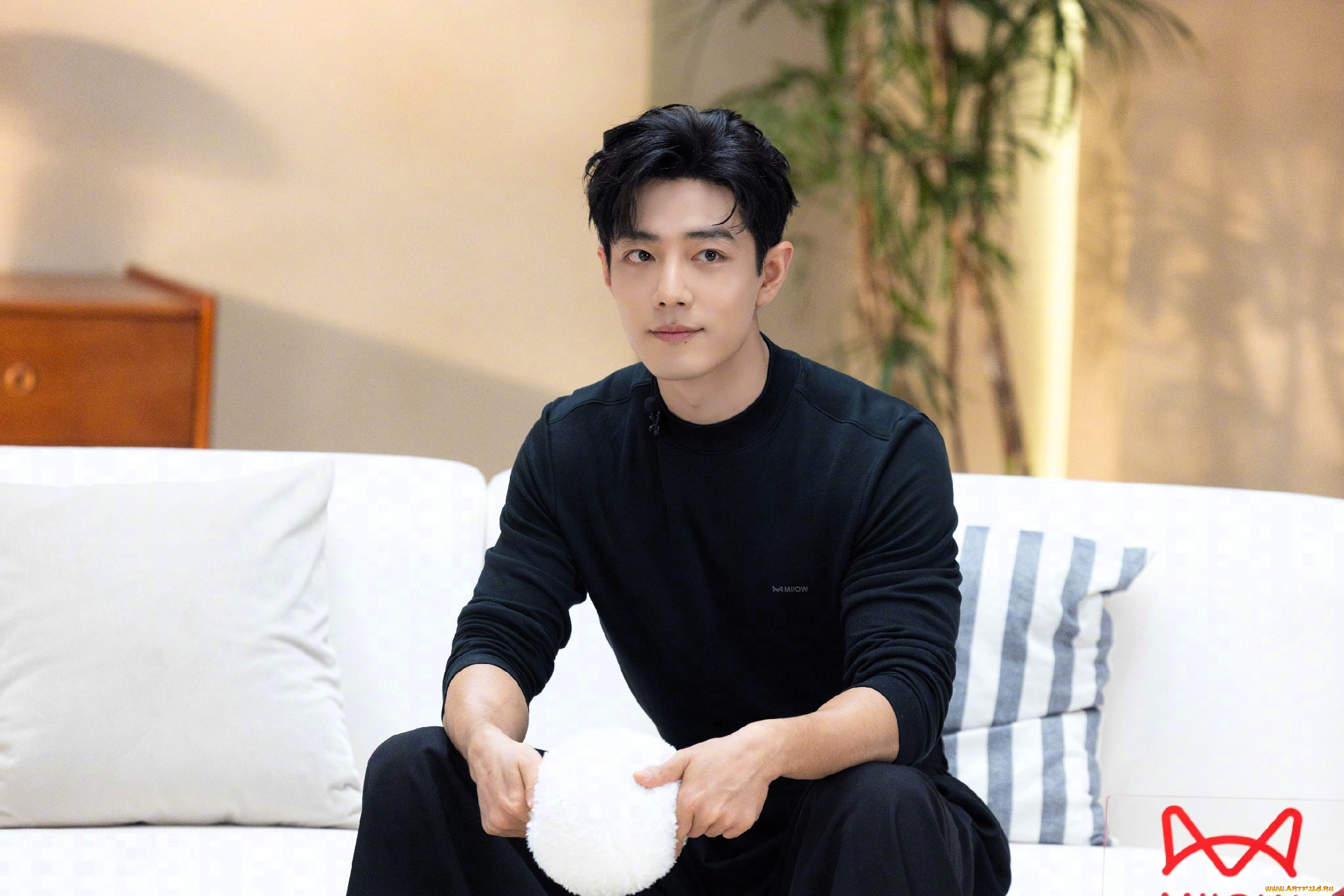 мужчины, xiao, zhan, актер, свитер, диван, плакат