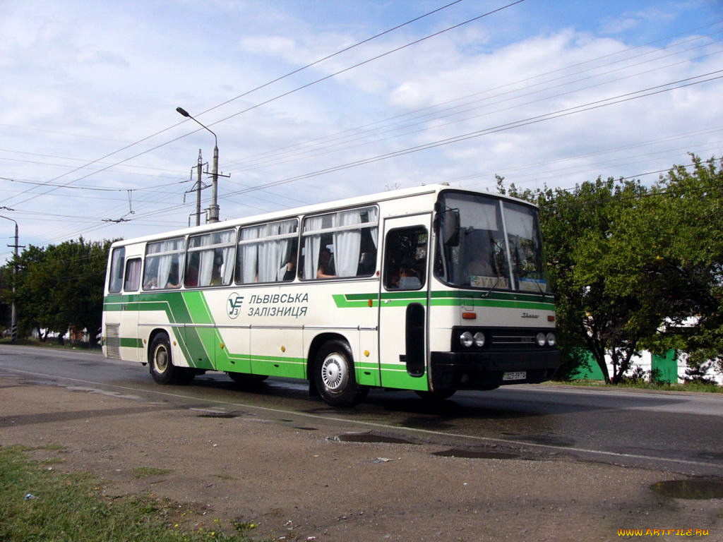 автомобили, автобусы