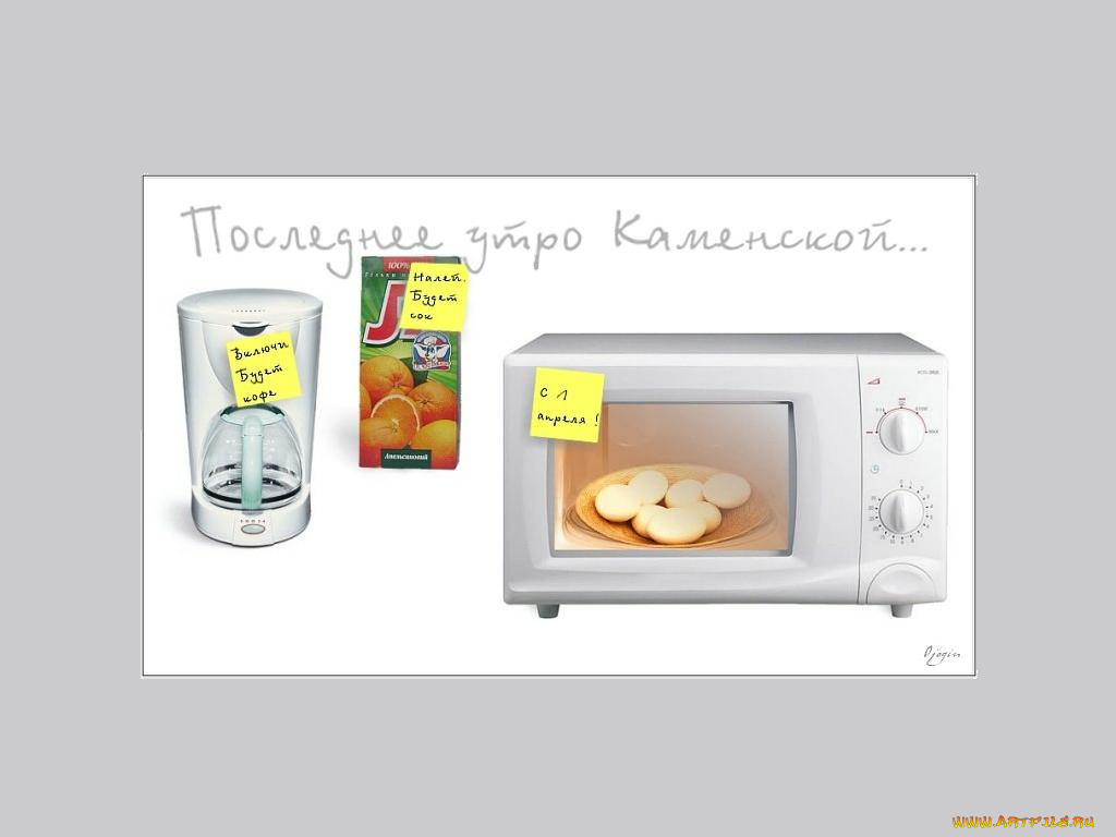 юмор, приколы