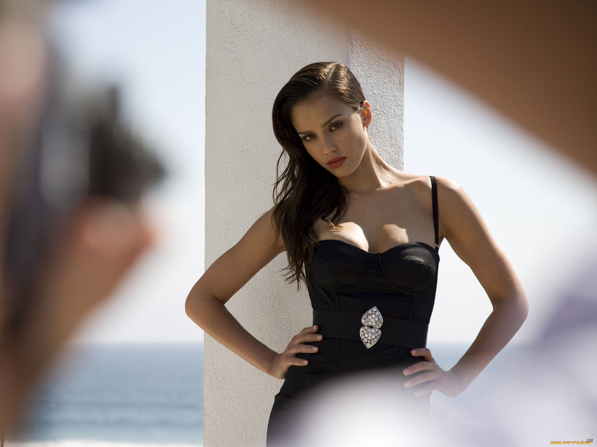 campari, бренды