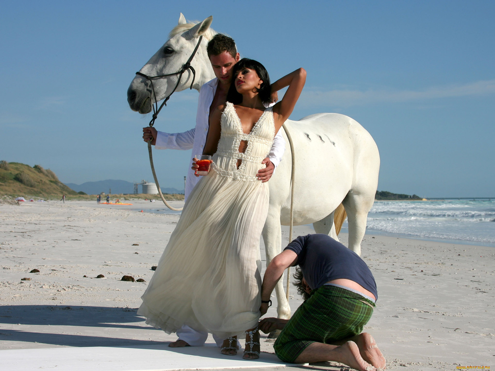 campari, бренды