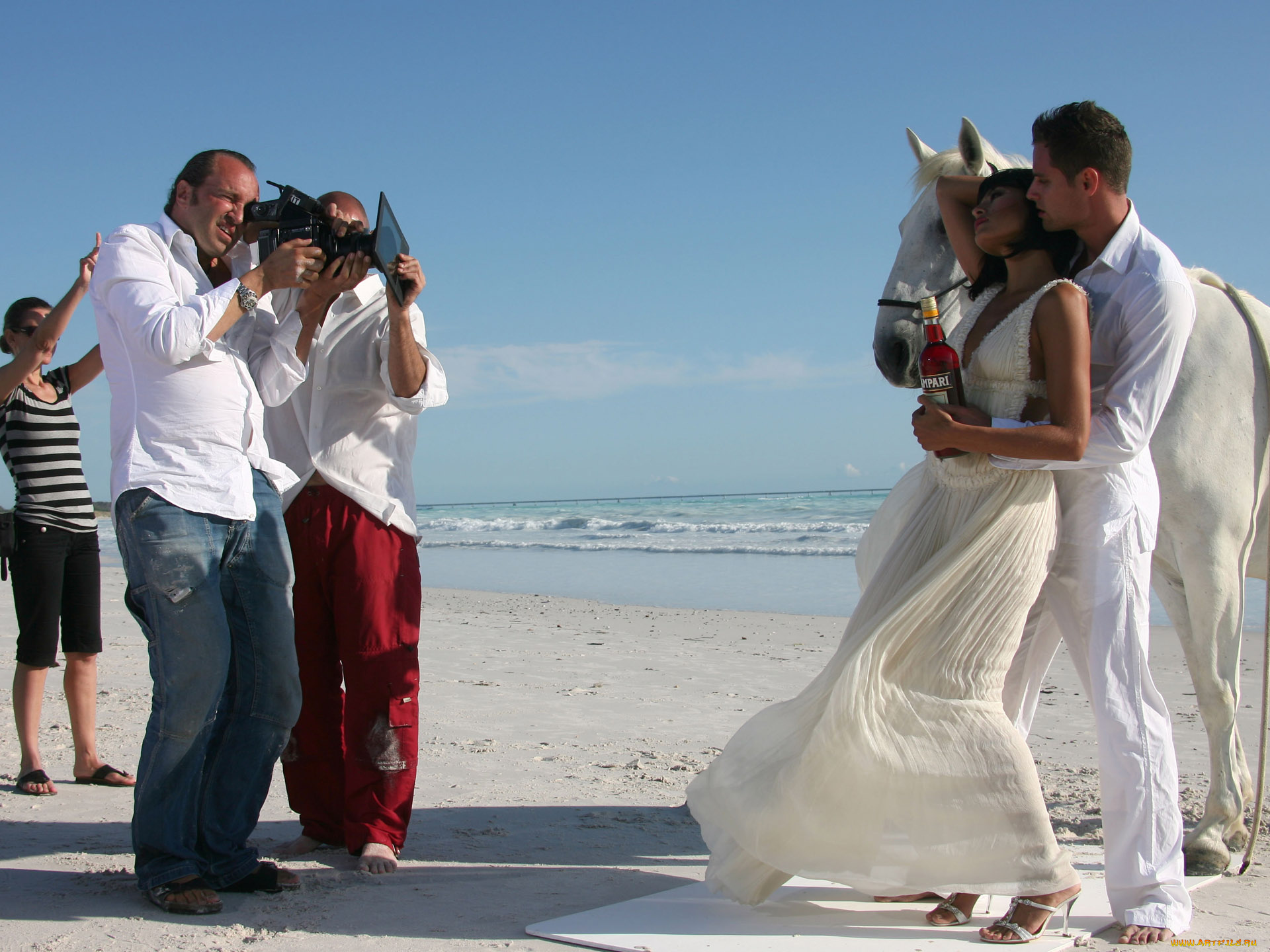 campari, бренды