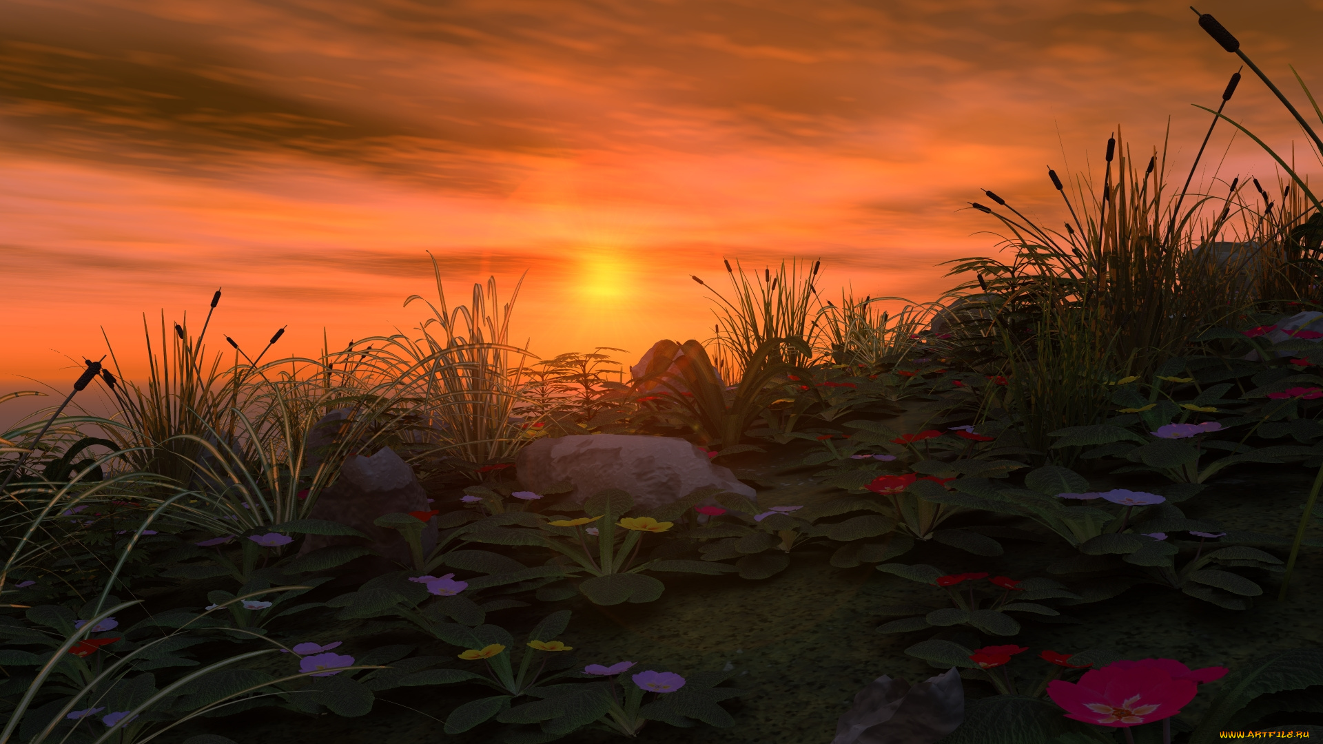 3д, графика, nature, landscape, природа, цветы, камыши