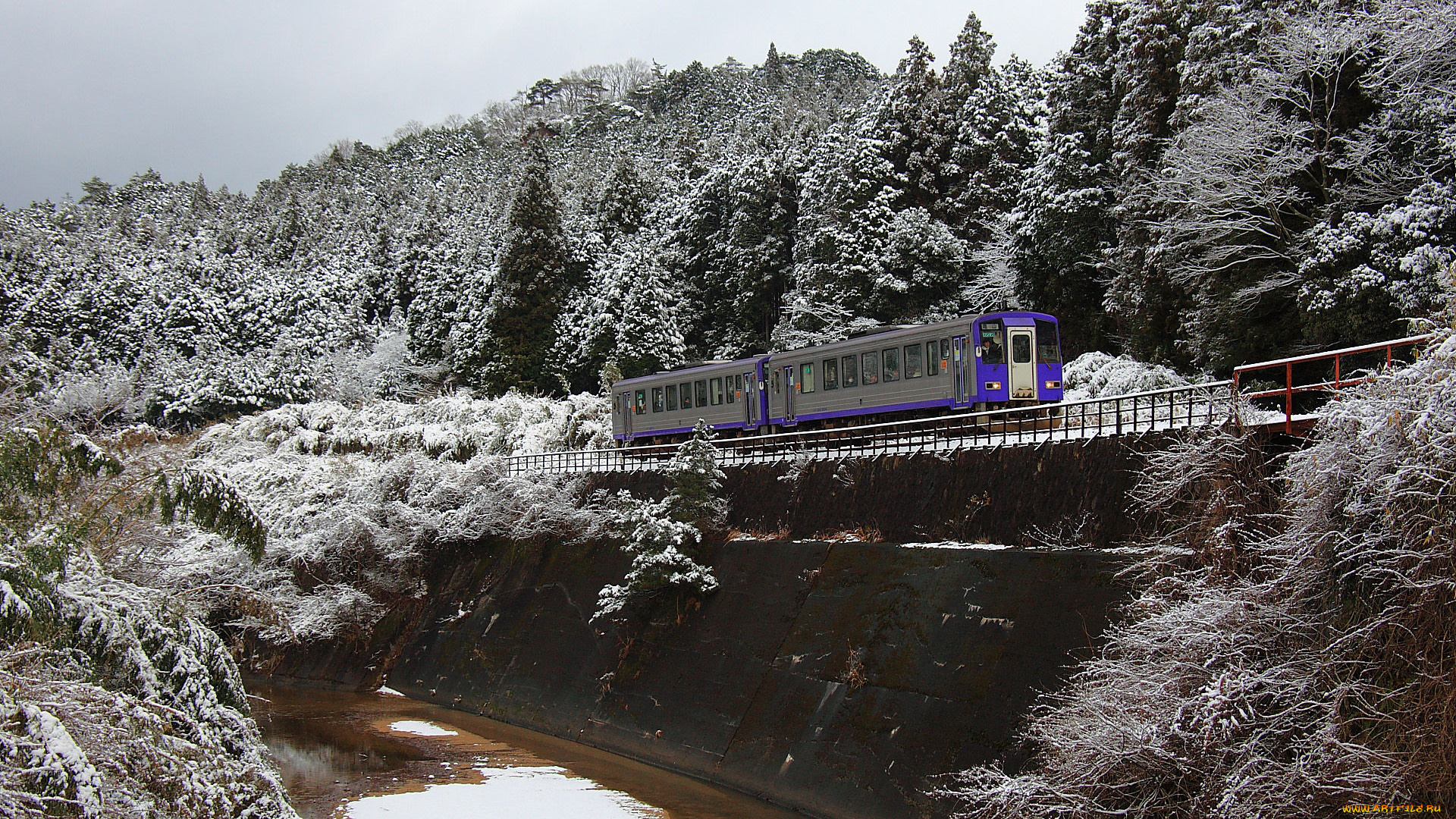 техника, вагоны, лес, река, иней