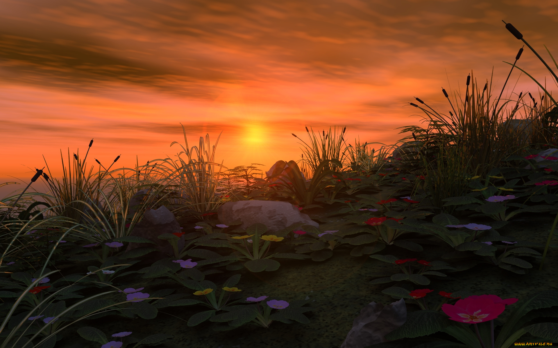 3д, графика, nature, landscape, природа, цветы, камыши