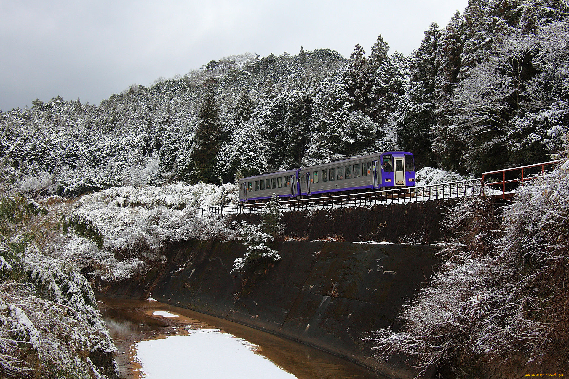 техника, вагоны, лес, река, иней