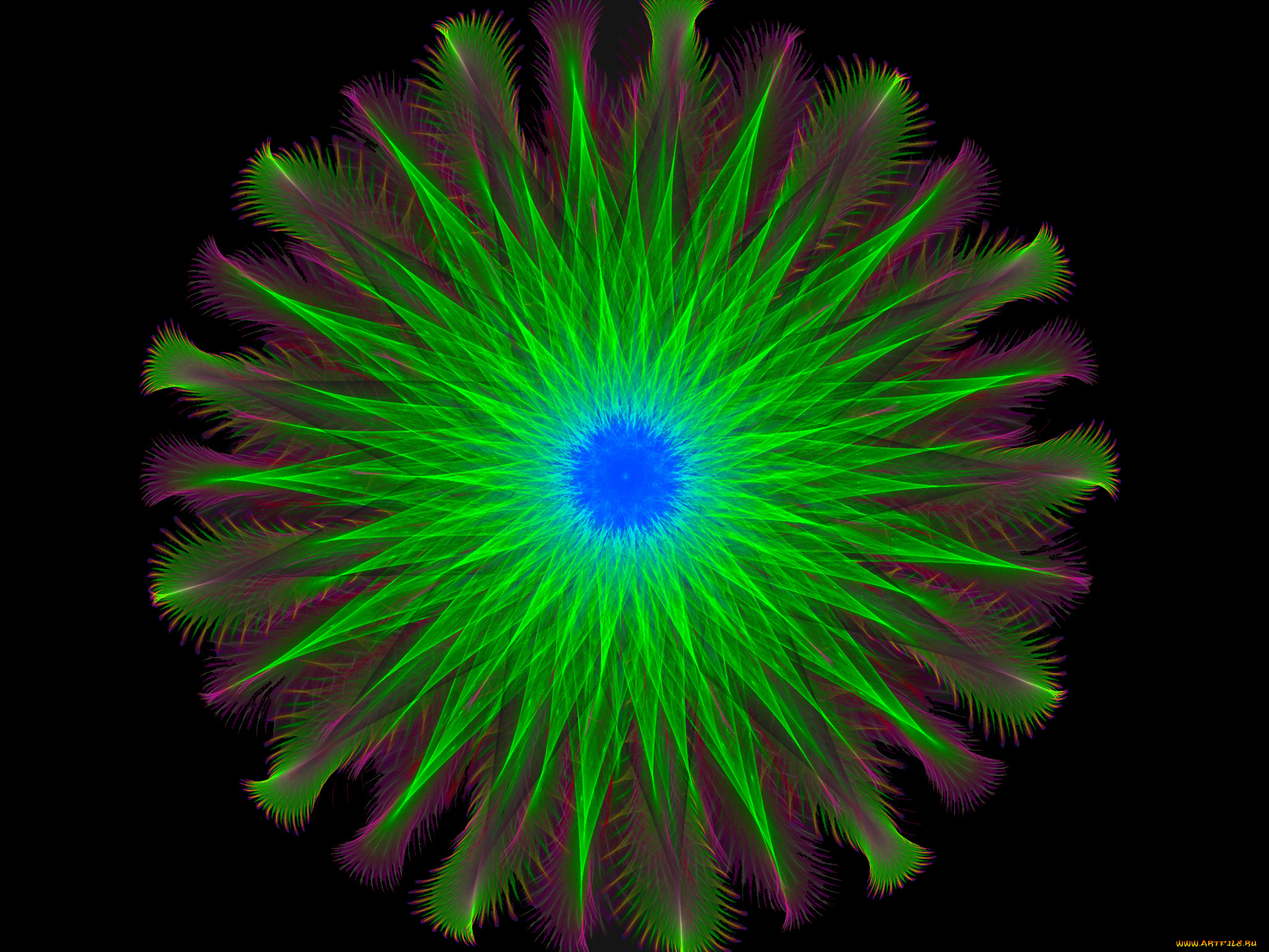 3д, графика, fractal, фракталы, фрактал, узор, фон