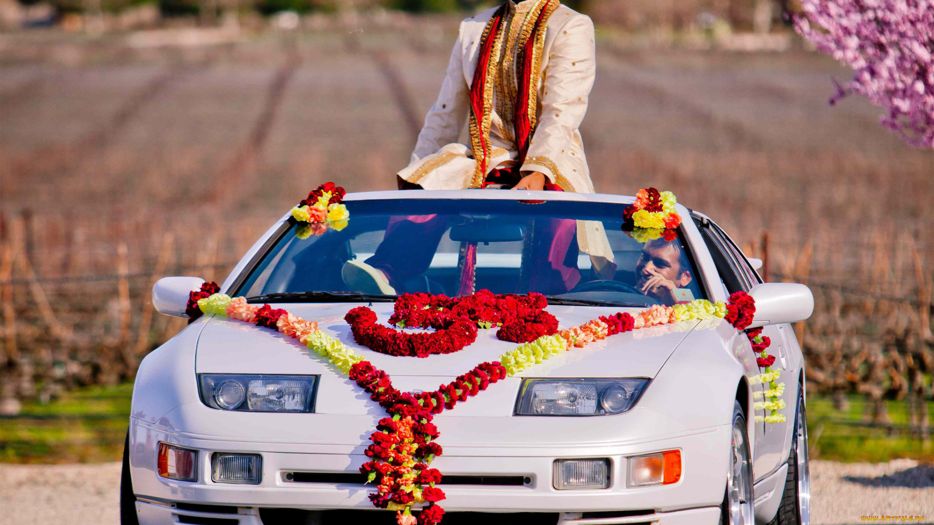 автомобили, nissan, datsun