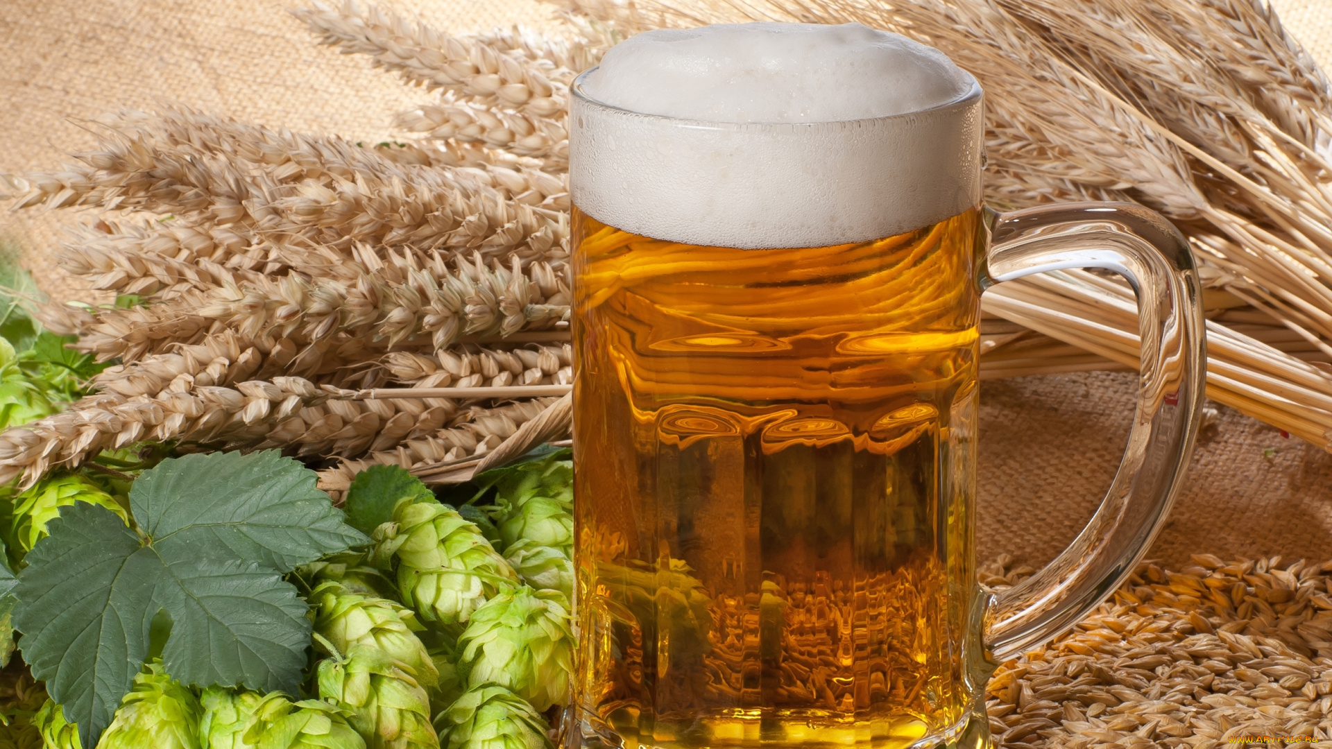 еда, напитки, пиво, хмель, ячмень, кружка