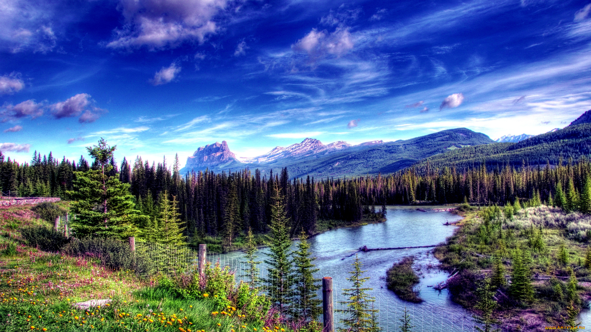 природа, реки, озера, цветы, трава, облака, река, леса, горы, панорама